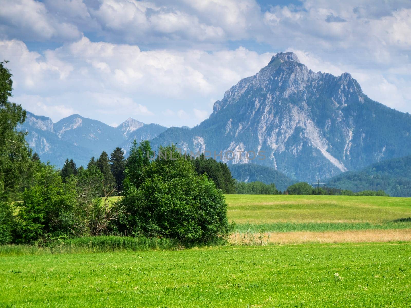 View of a Bavarian landscape with a green meadow, small groups of trees in the foreground and a towering mountain range in the background on the border with Austria.