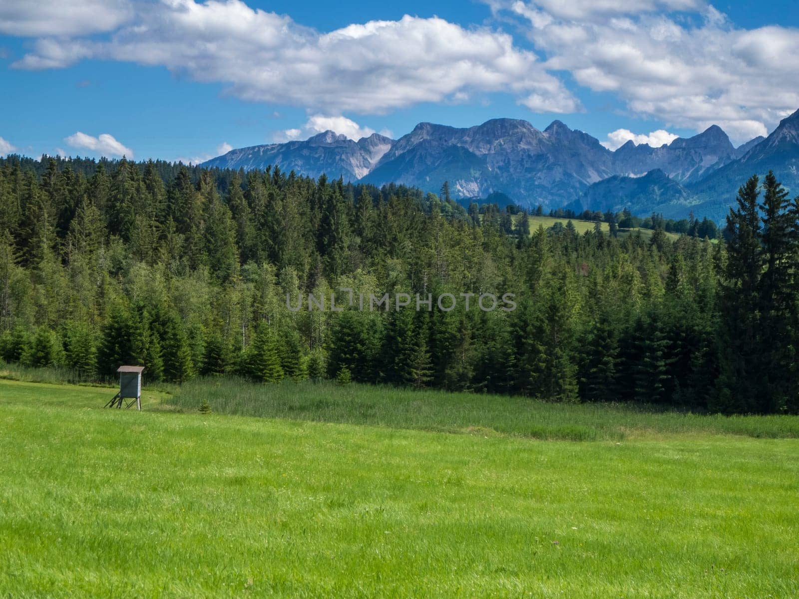 Allgäu landscape with a hilly meadow with a hunter's hill in the foreground, coniferous forest in the middle ground and high mountains in the background under a blue sky with a few clouds in summer.
