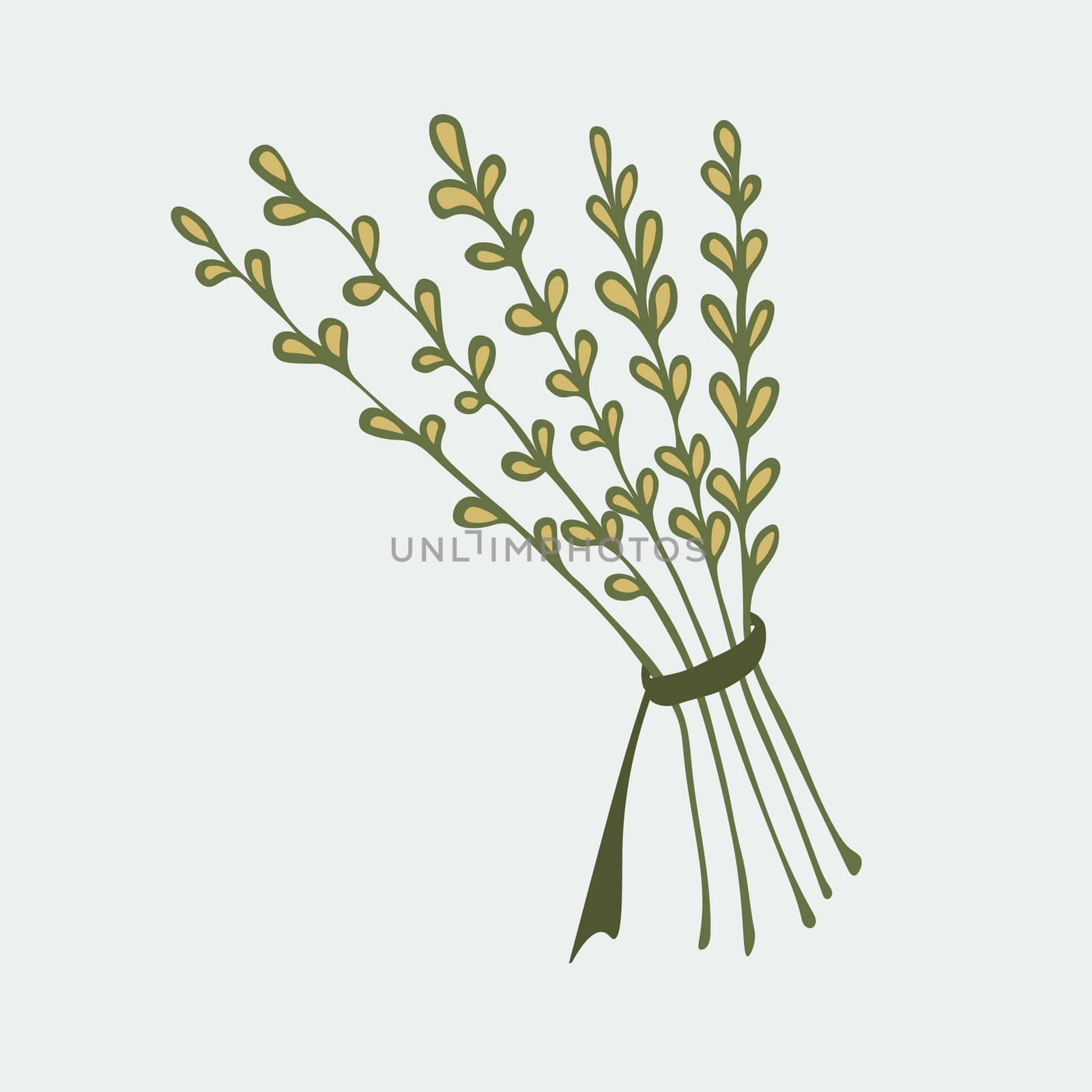Vector illustration of a hand-drawn bundle of herbs tied with a rope.
