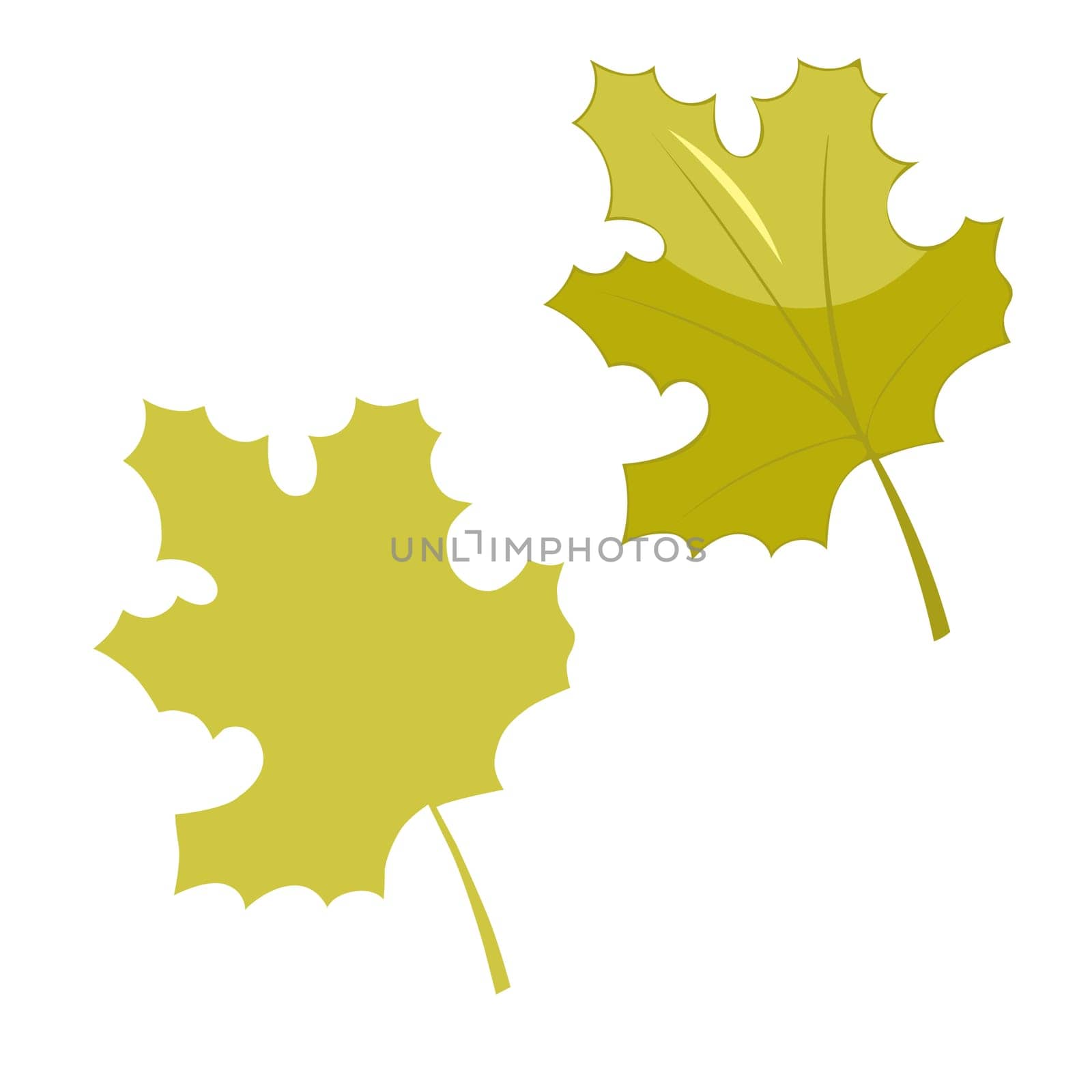 Leaves elements, botanical vector isolated on white background suitable for Wedding Invitation,thank you,greeting card