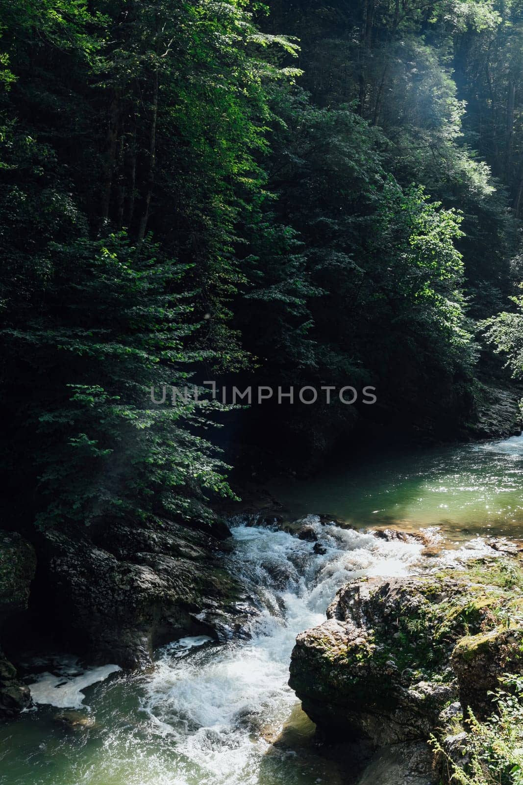 Beautiful landscape, green forest and mountain river water