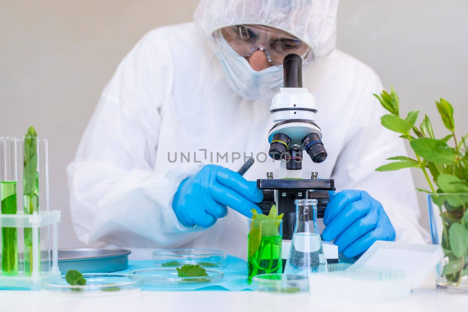 Research of plants in the laboratory. Selective focus. nature.