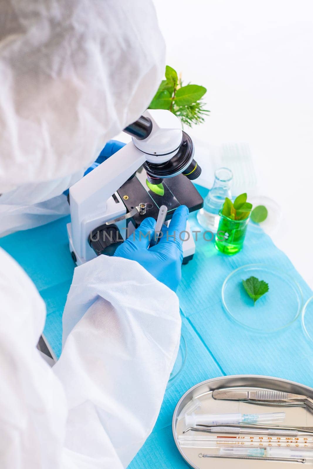 Research of plants in the laboratory. Selective focus. nature.