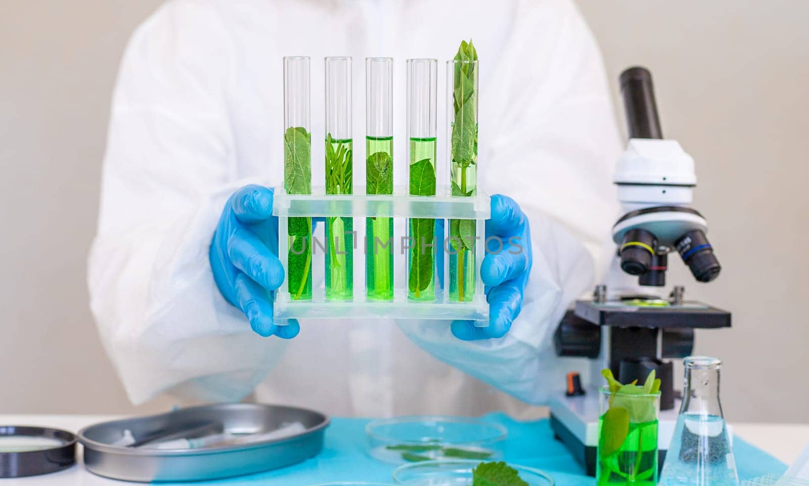 Research of plants in the laboratory. Selective focus. nature.