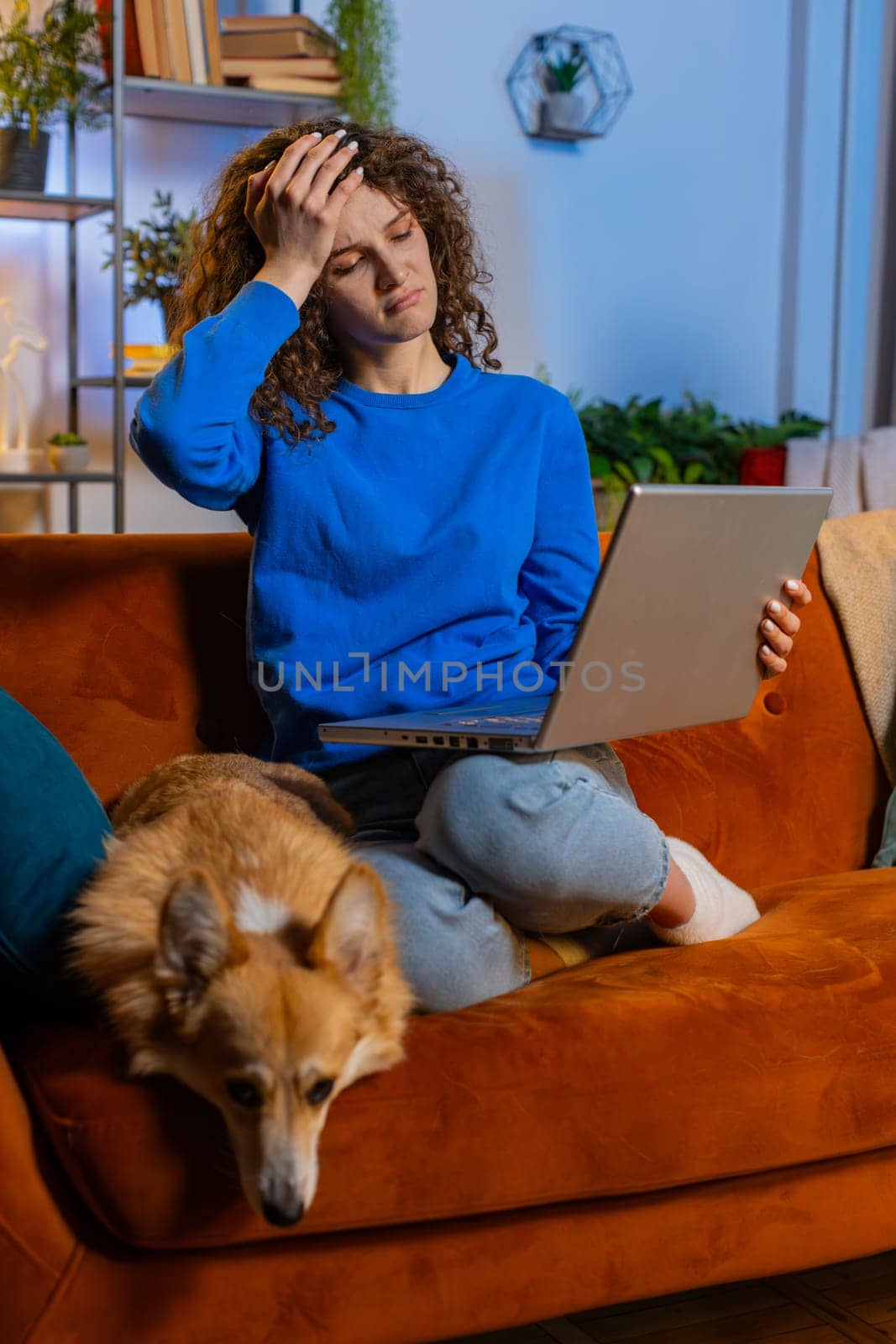 Angry upset young woman using laptop netbook receiving bad news while sits on sofa in living room at home. Displeased sad female girl freelancer sitting restlessly on couch in apartment. Vertical