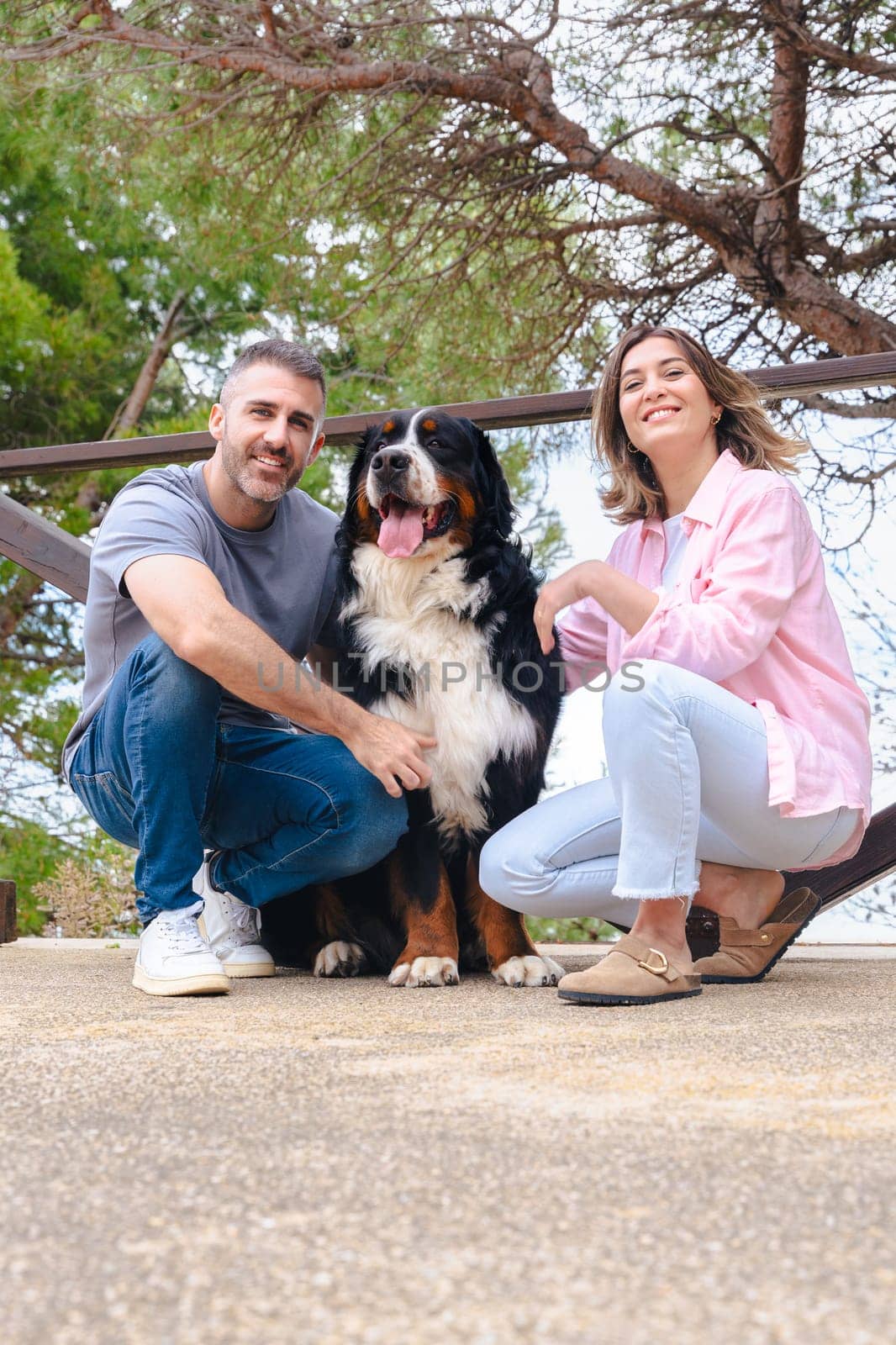 Vertical Portrait Happy couple bonding with their Bernese Mountain Dog in a natural outdoor setting. Smiling and relaxed moment showing companionship, love, and joy during a bright, fresh spring day.
