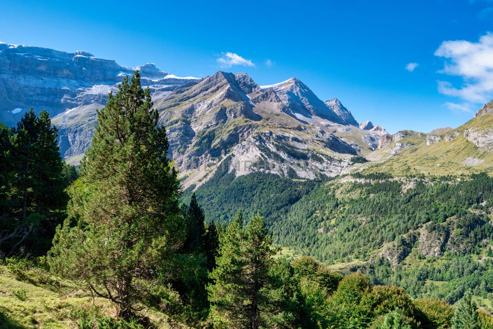 A mountain range with a clear blue sky and trees in the foreground. The trees are tall and green, and the sky is bright and clear. The scene is peaceful and serene