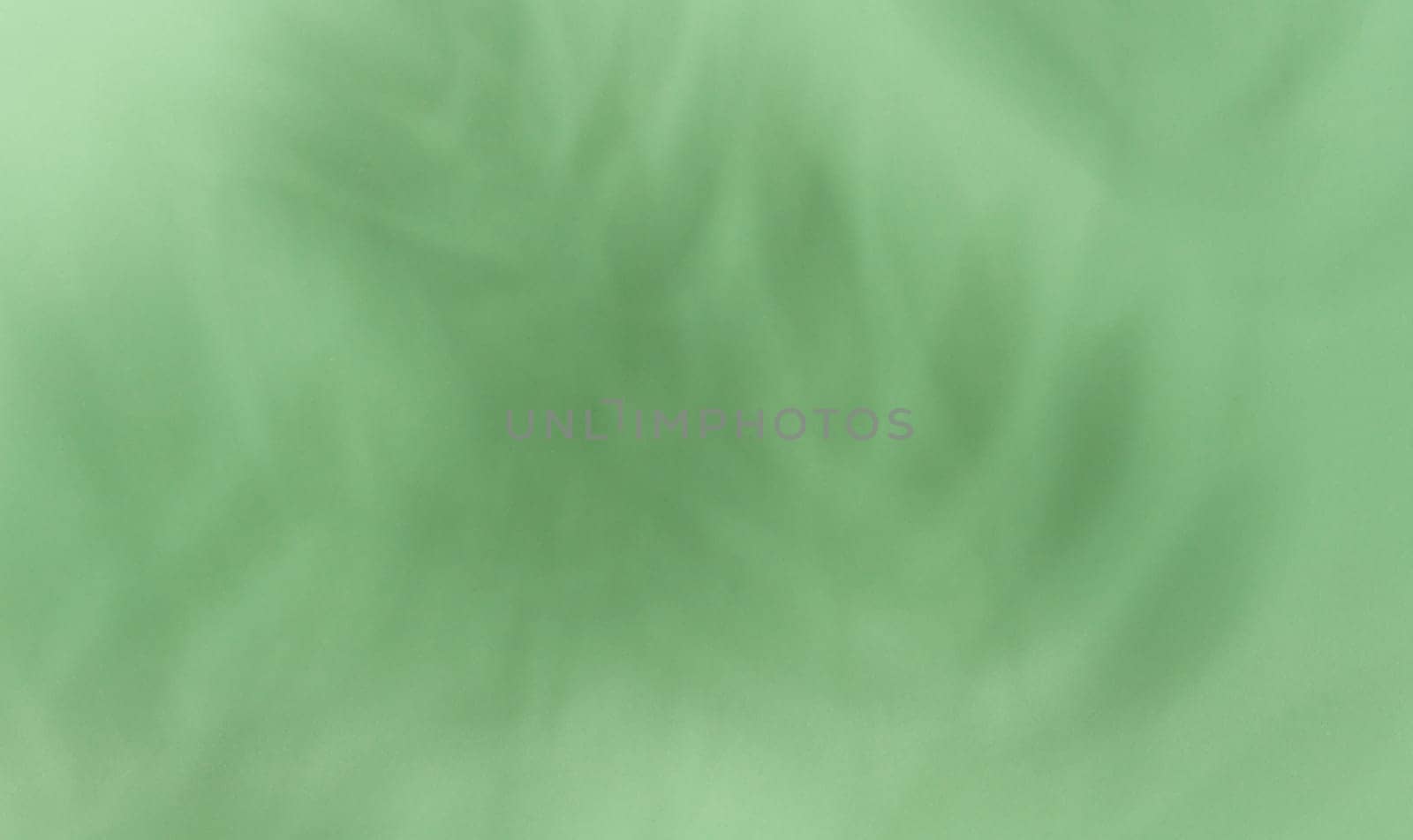 Soft, blurred shadows of palm leaves are cast across a solid light green background, creating a subtle and organic texture with copy space.