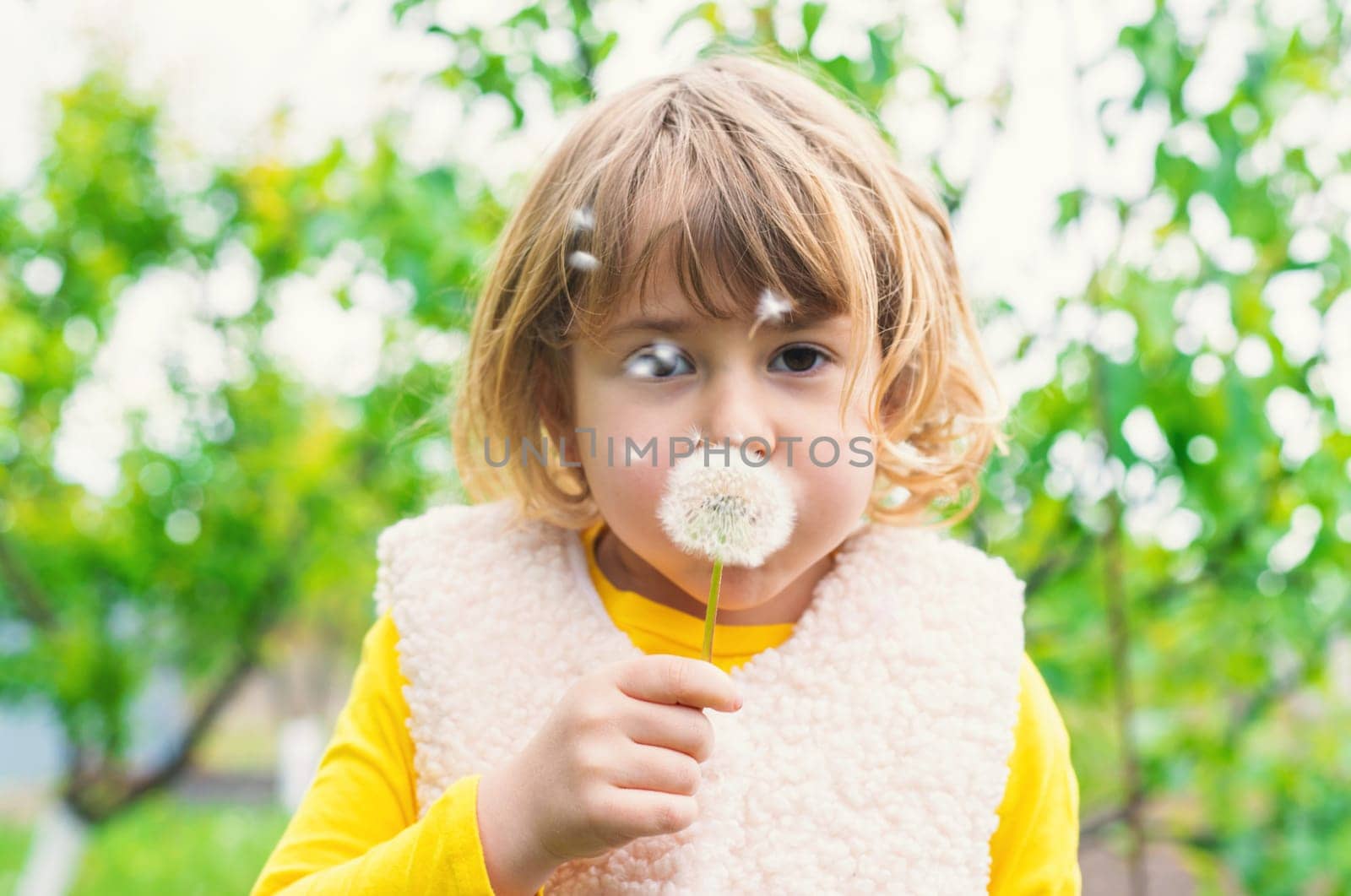 Child blowing dandelion in park. Selective focus. Allergy Kid.