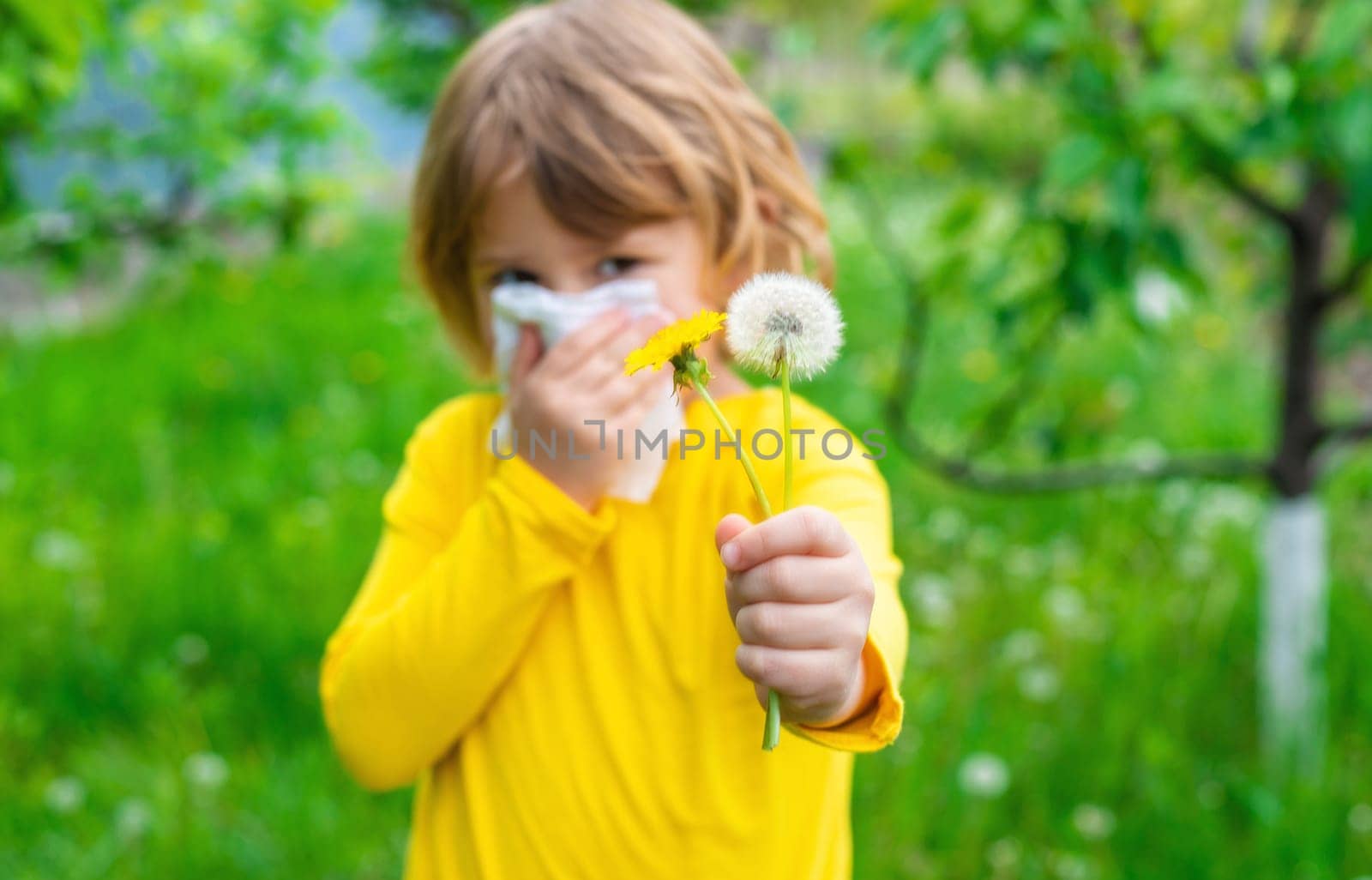The child is allergic to dandelions. Selective focus. Kid.