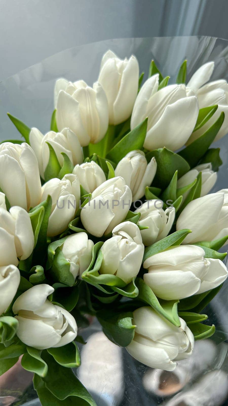 This elegant bouquet of white tulips symbolizes purity and grace. Ideal for weddings or special occasions, these flowers add a touch of beauty to any celebration or heartfelt gesture.