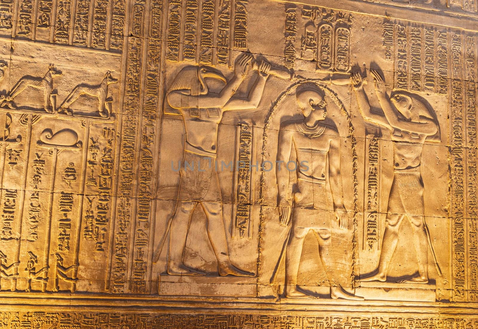 Details of the carvings on the walls of the Temples of Sobek and Horus at Kom Ombo after dark