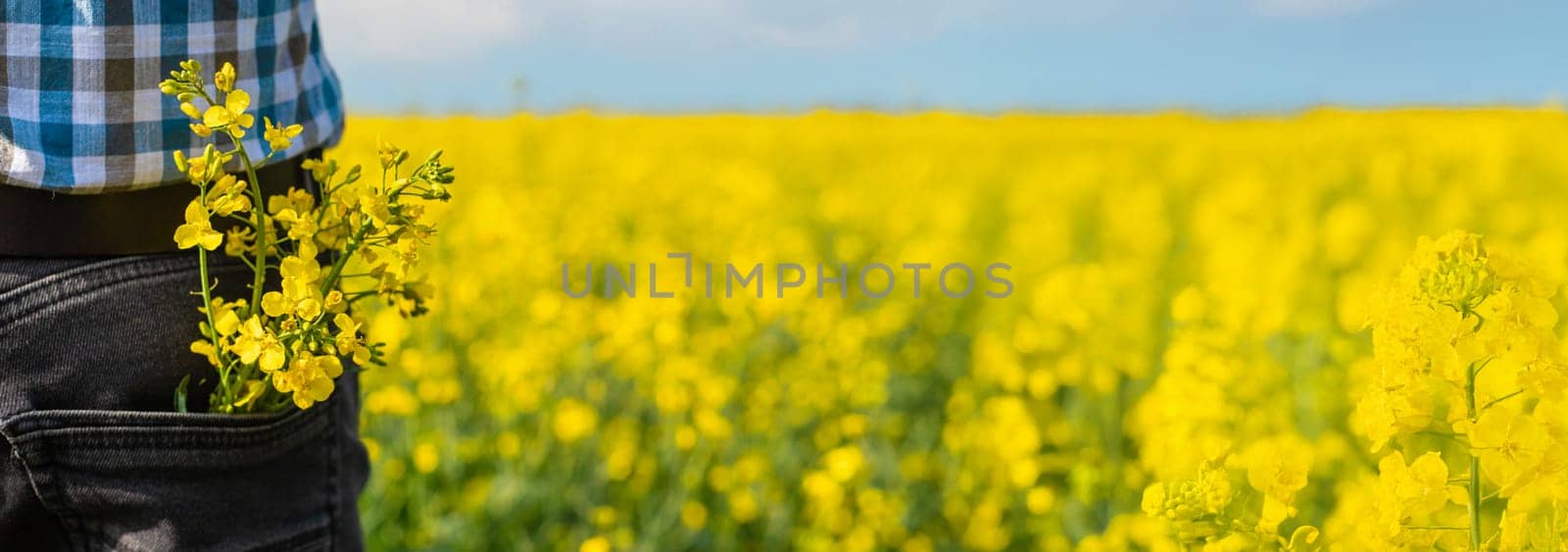 farmer in mustard field. Selective focus. nature.