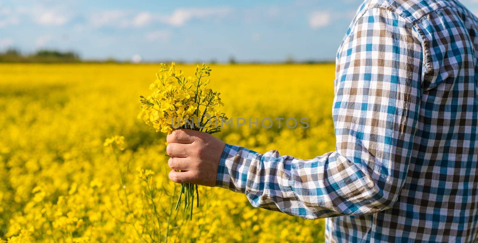 farmer in mustard field. Selective focus. nature.