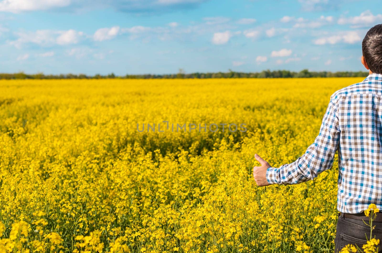 farmer in mustard field. Selective focus. nature.