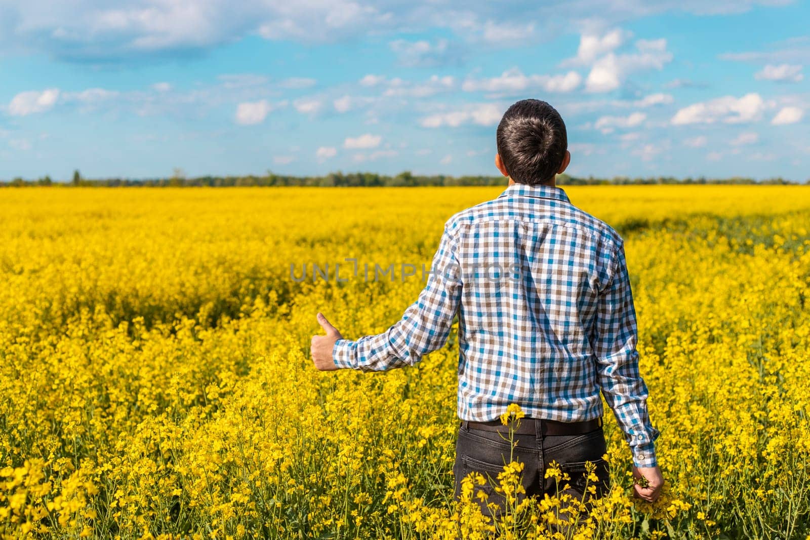 farmer in mustard field. Selective focus. nature.