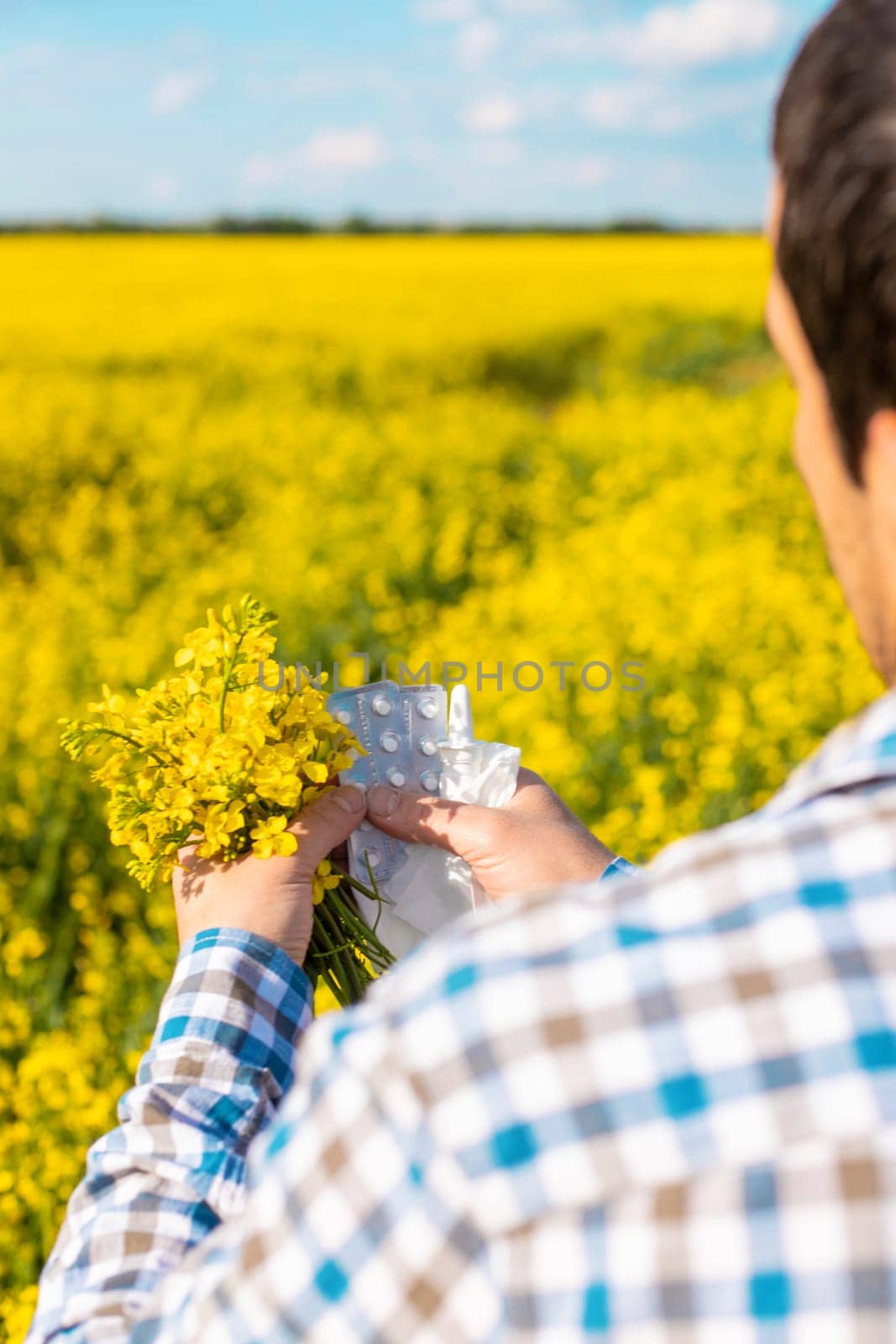 Yellow field flowers allergy. Selective focus. Nature.