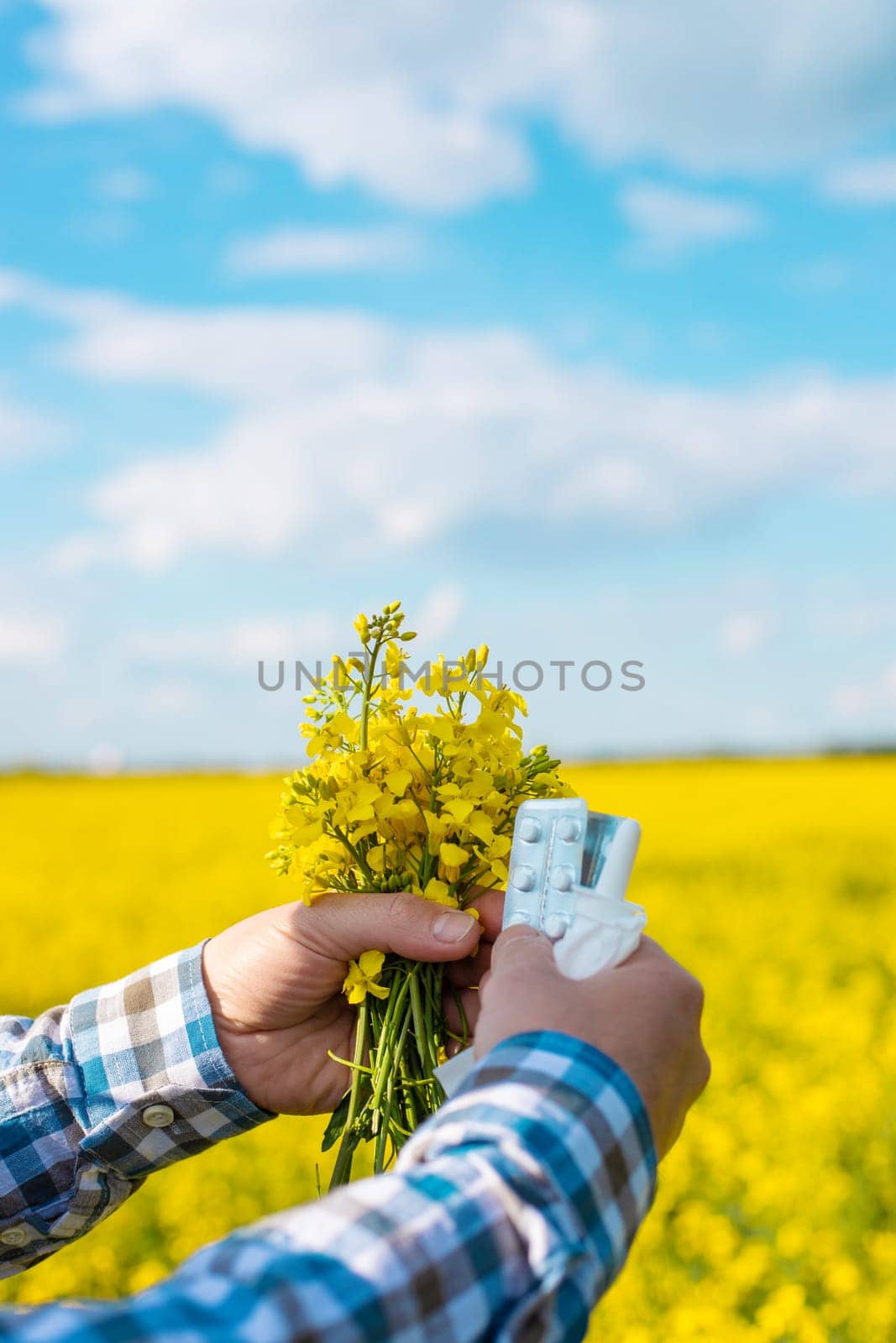 Yellow field flowers allergy. Selective focus. Nature.