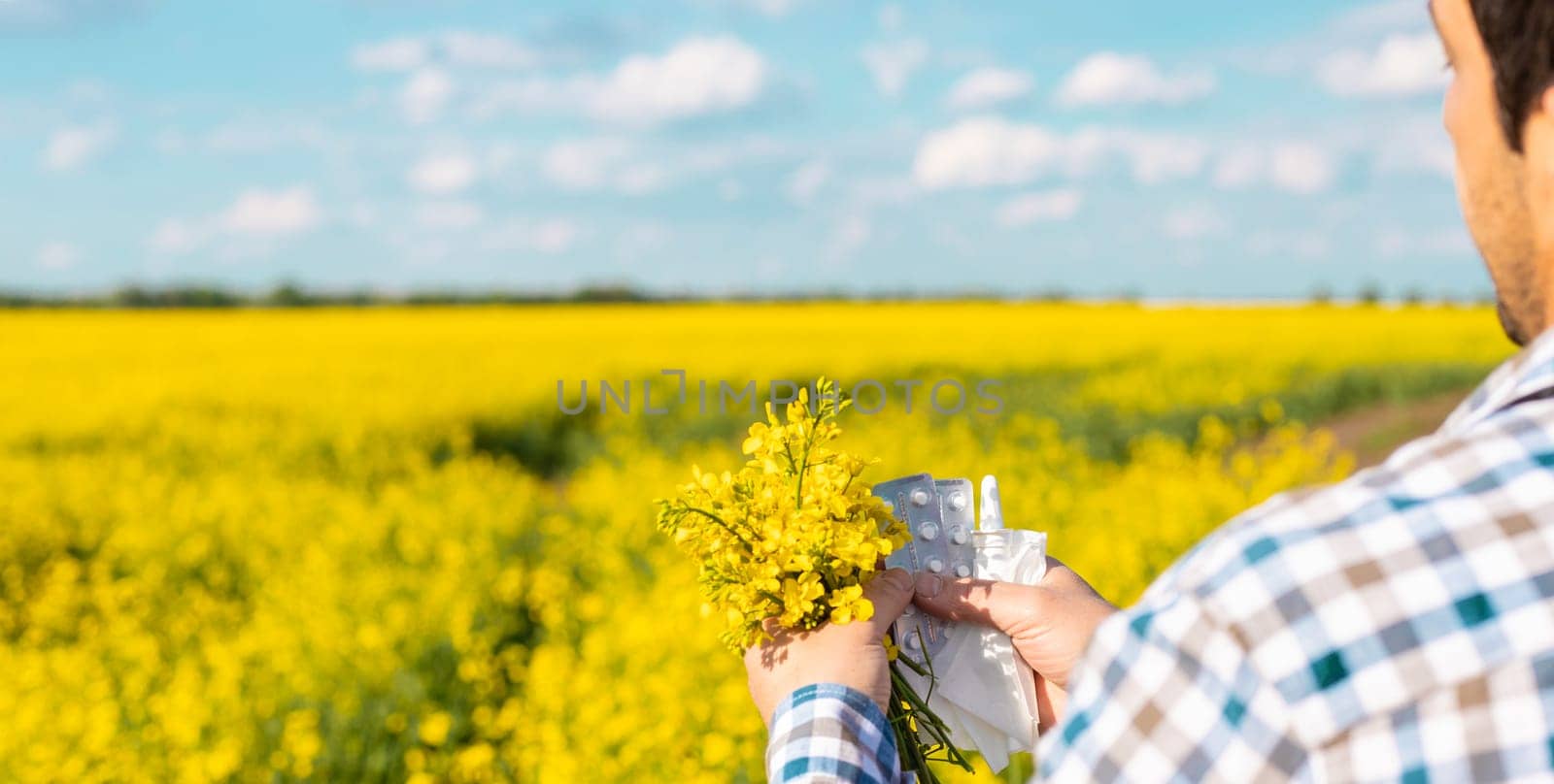 Yellow field flowers allergy. Selective focus. Nature.