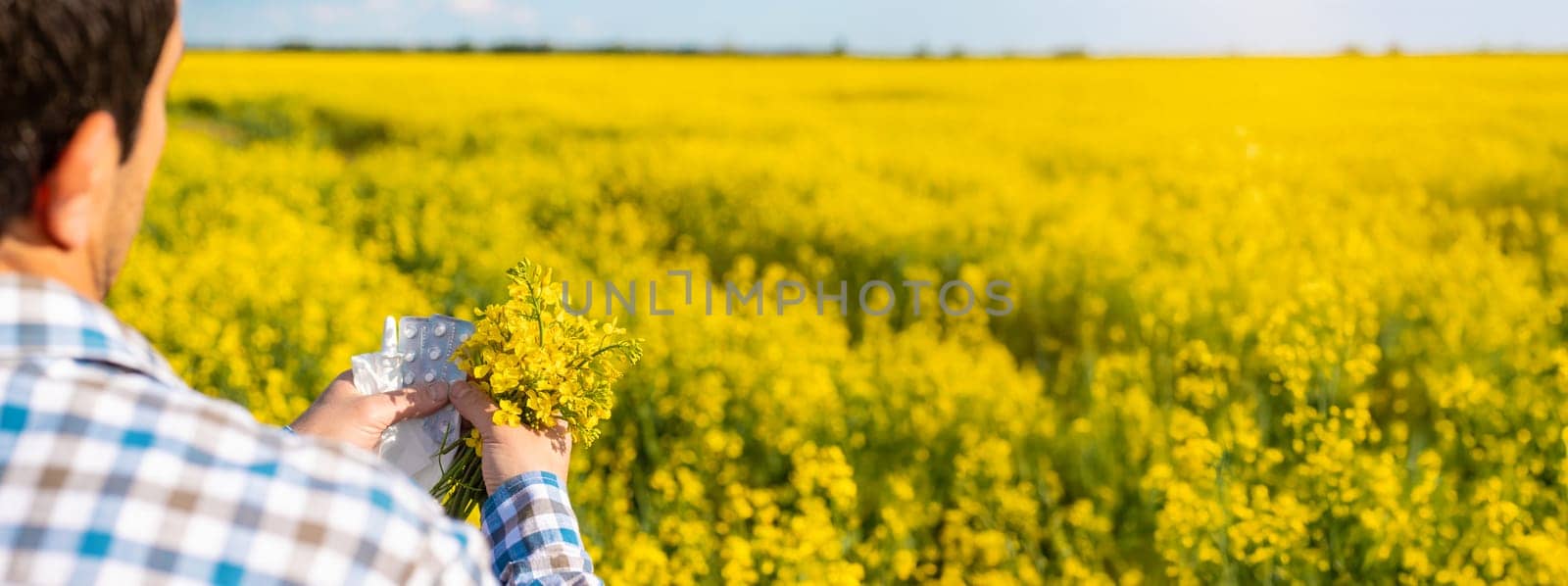 Yellow field flowers allergy. Selective focus. Nature.