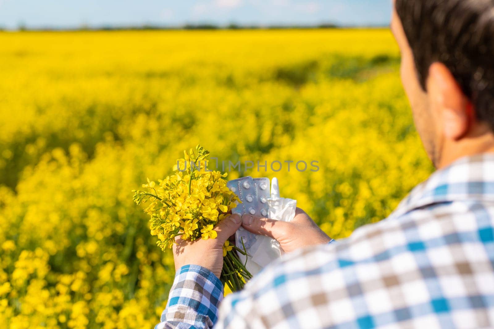 Yellow field flowers allergy. Selective focus. Nature.