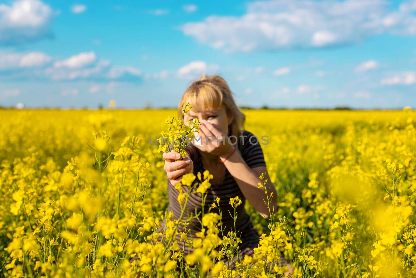 Yellow field flowers allergy. Selective focus. nature.