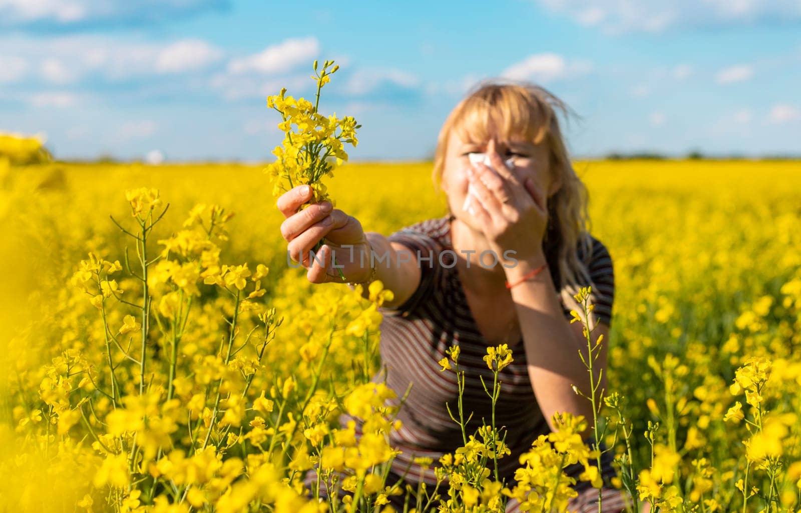 Yellow field flowers allergy. Selective focus. nature.