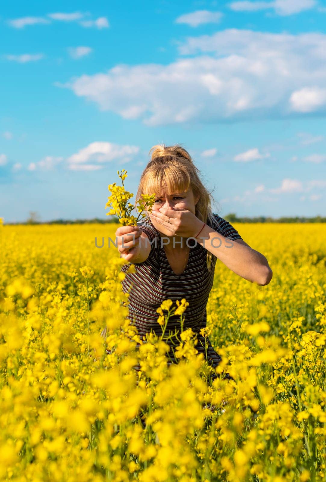 Yellow field flowers allergy. Selective focus. nature.