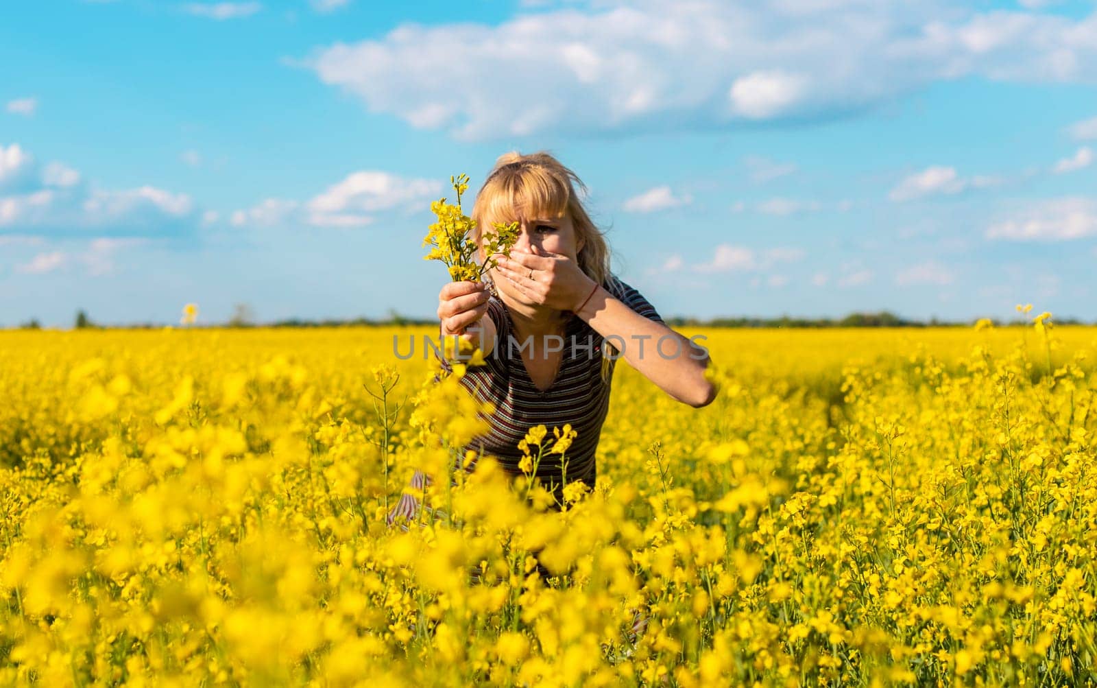 Yellow field flowers allergy. Selective focus. nature.