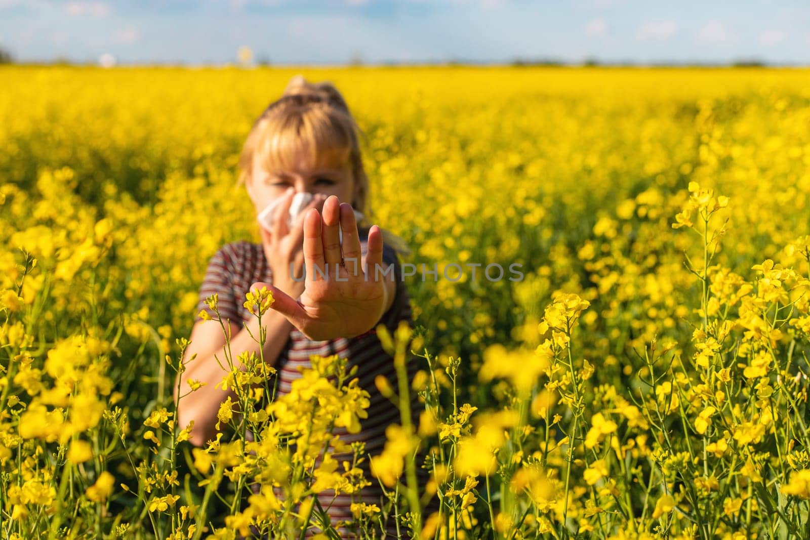 Yellow field flowers allergy. Selective focus. nature.