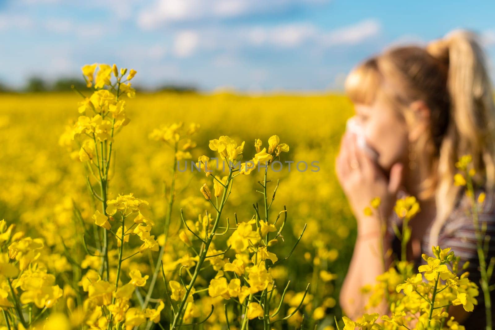 Yellow field flowers allergy. Selective focus. nature.
