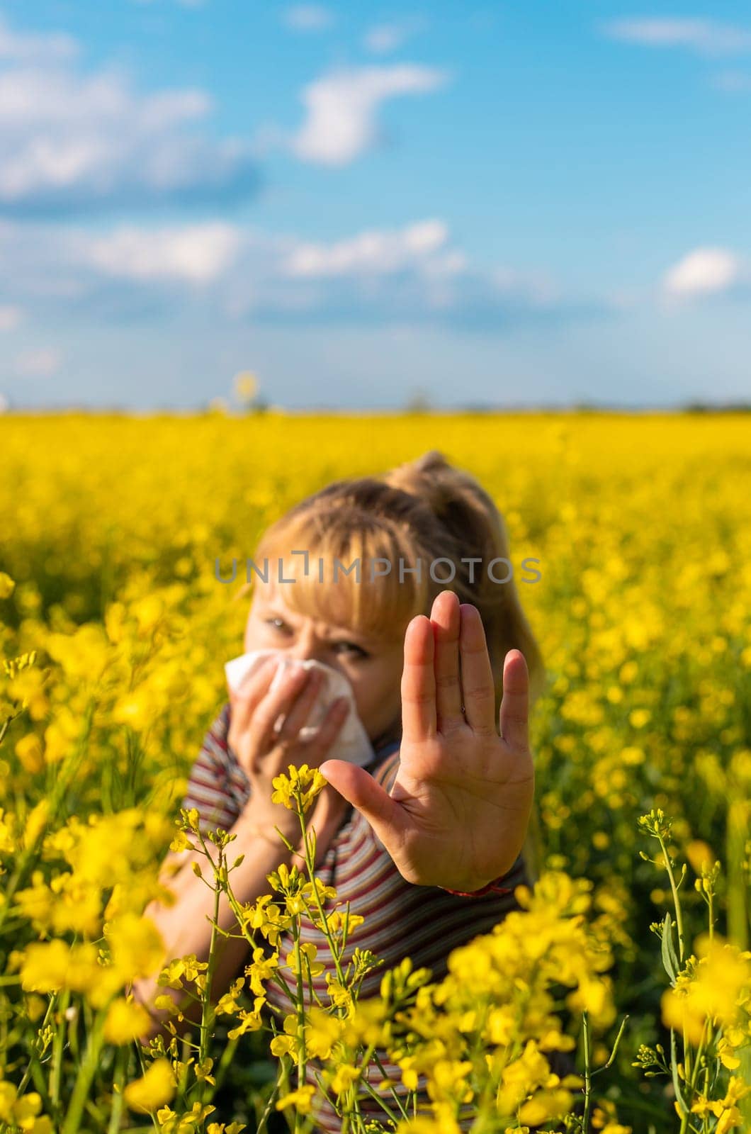 Yellow field flowers allergy. Selective focus. nature.