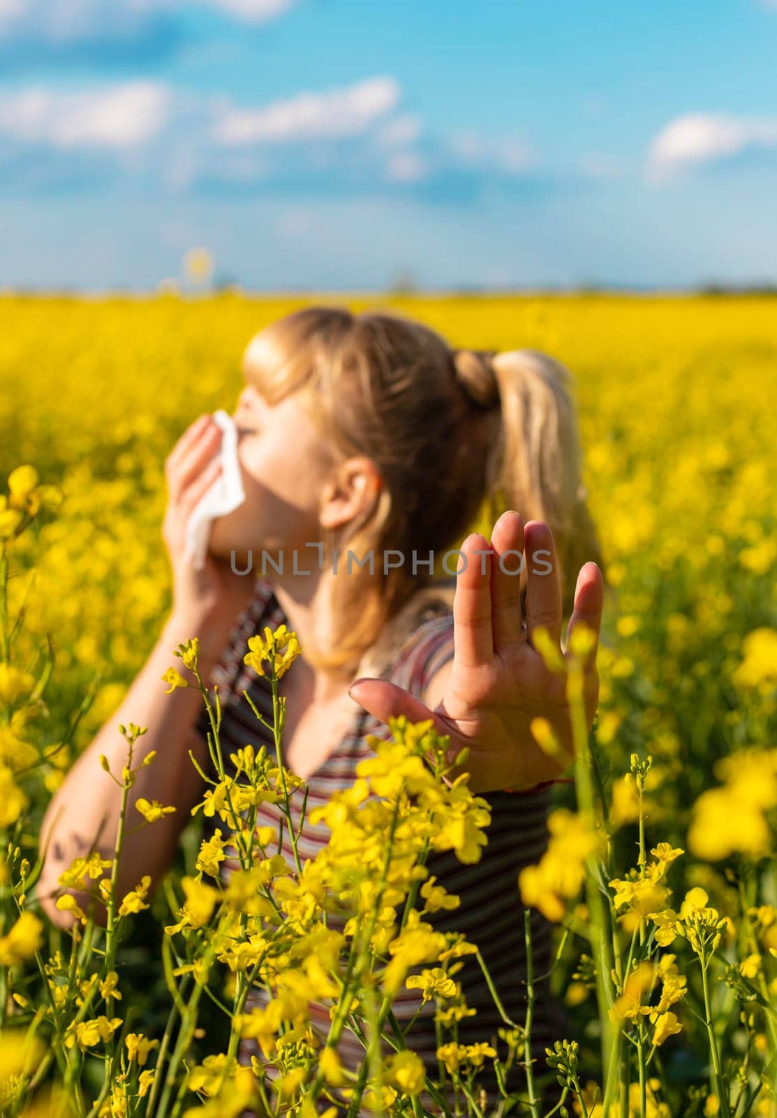 Yellow field flowers allergy. Selective focus. nature.