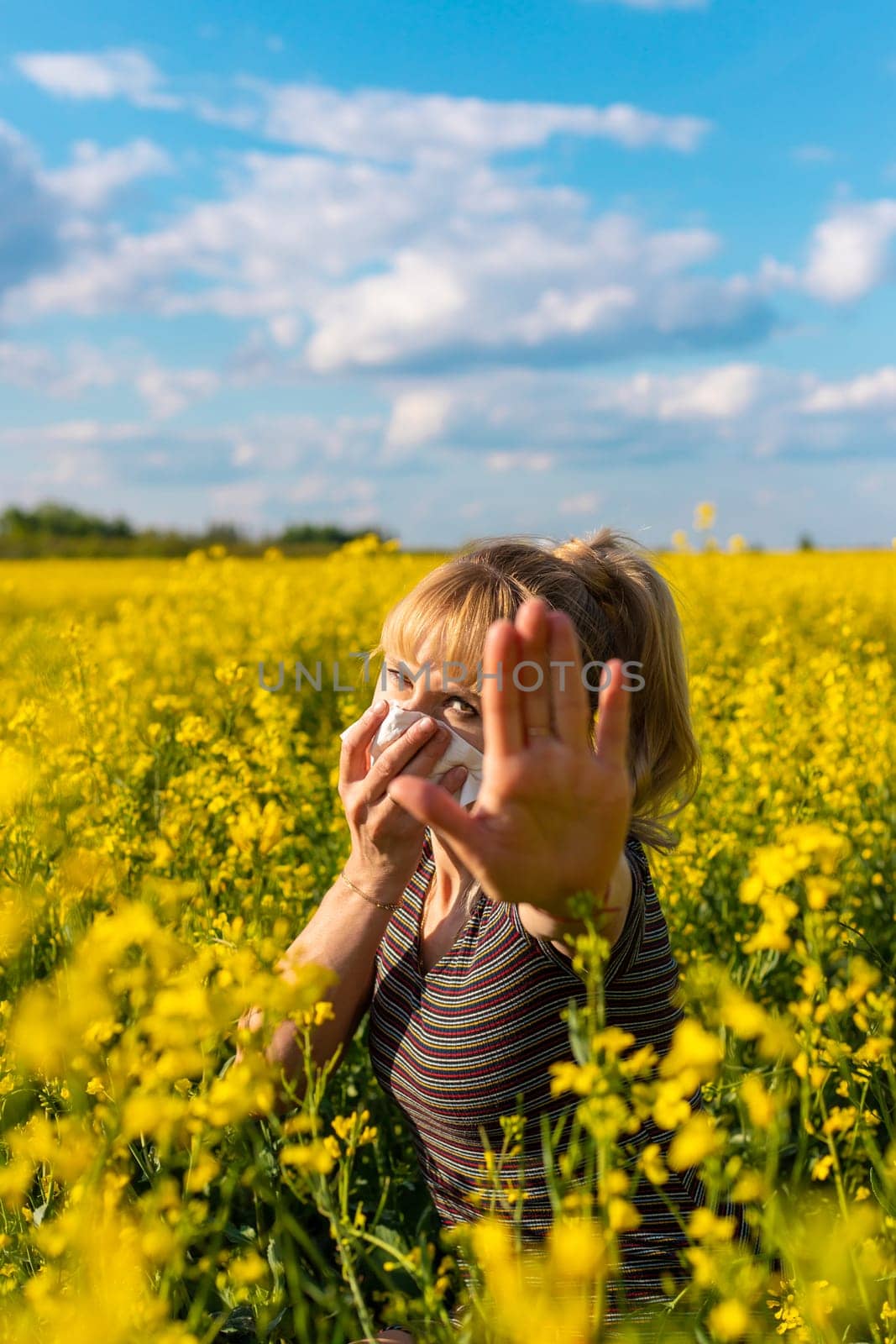 Yellow field flowers allergy. Selective focus. nature.