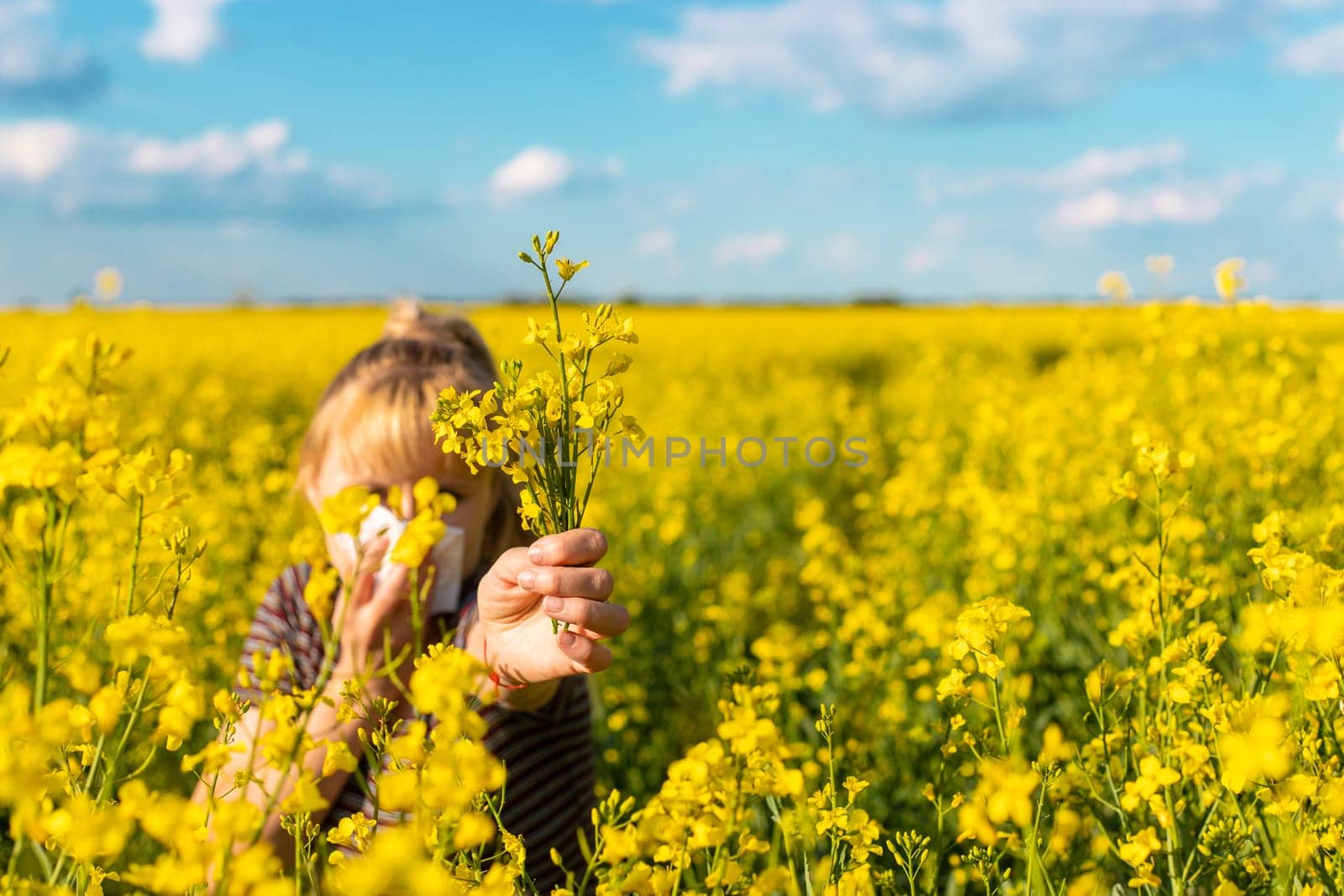 Yellow field flowers allergy. Selective focus. nature.