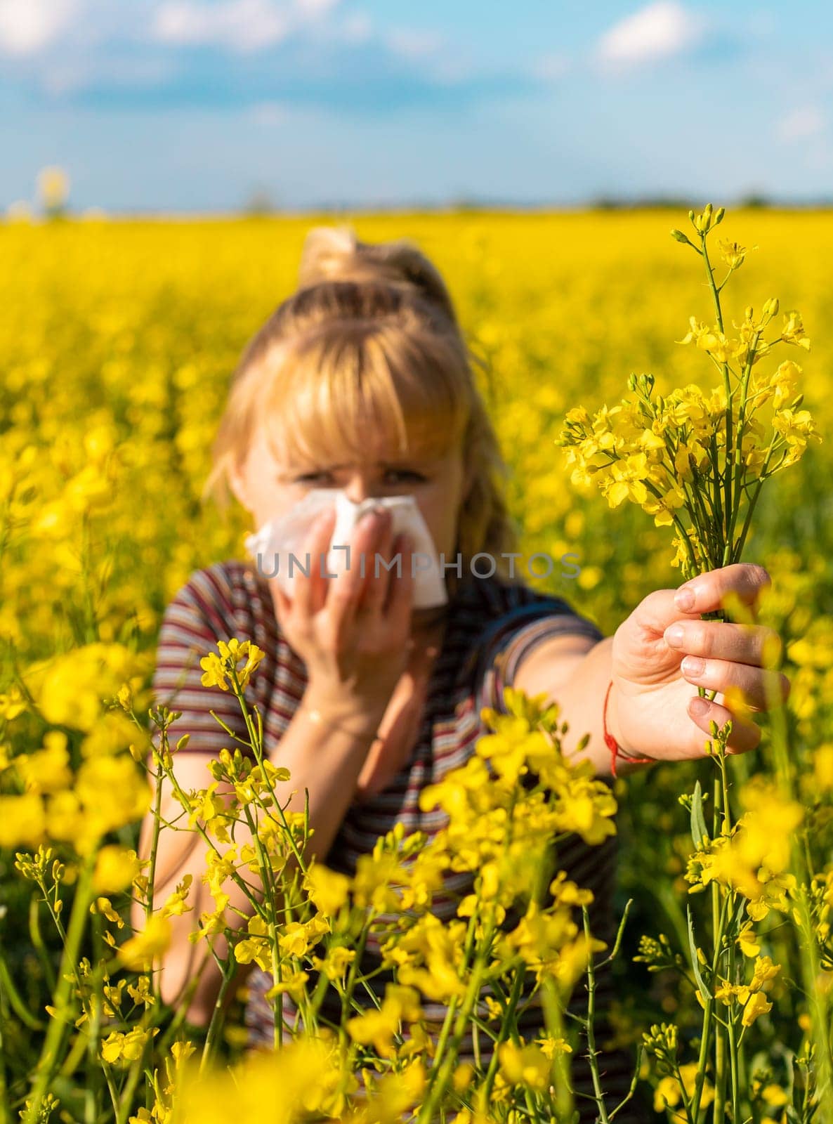 Yellow field flowers allergy. Selective focus. nature.