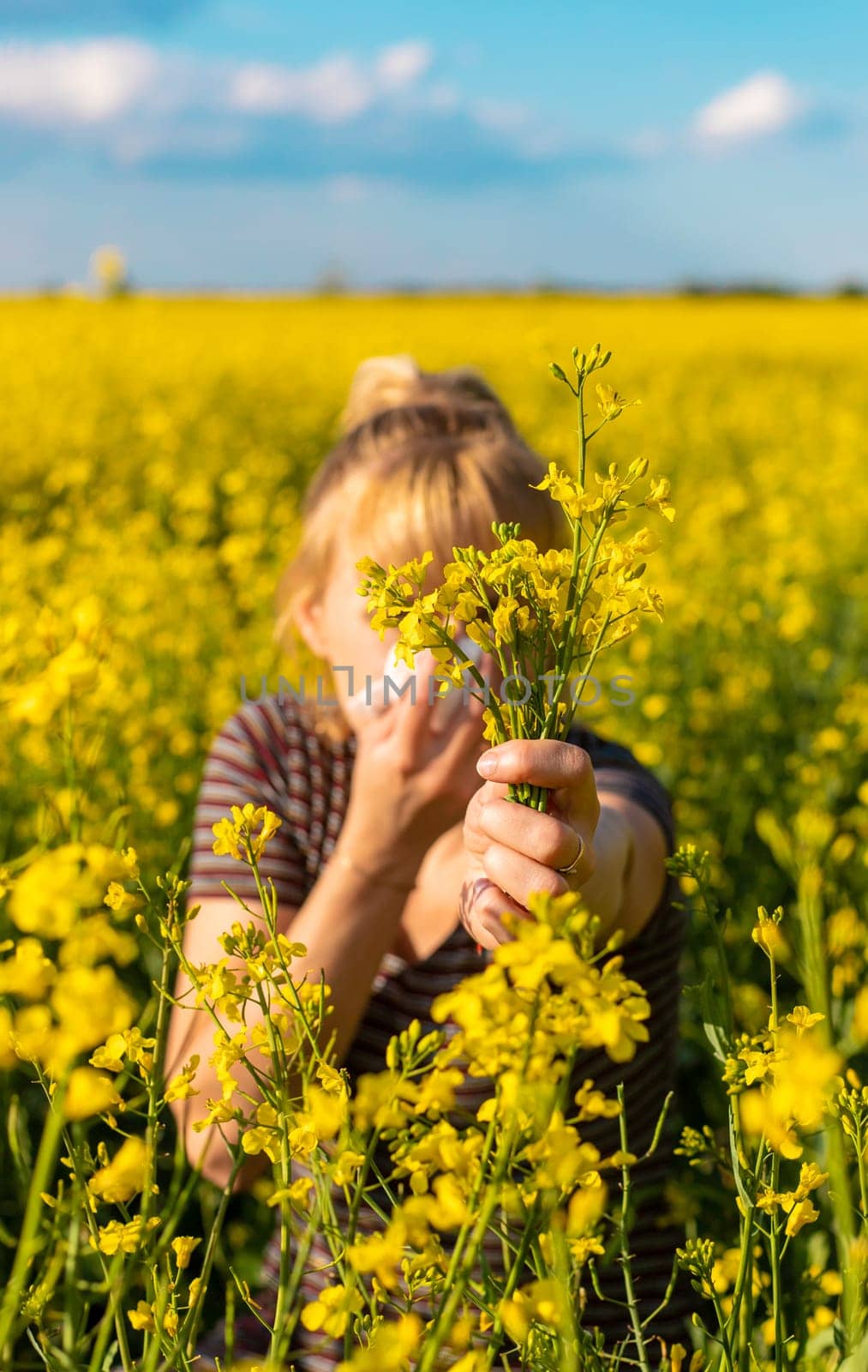 Yellow field flowers allergy. Selective focus. nature.