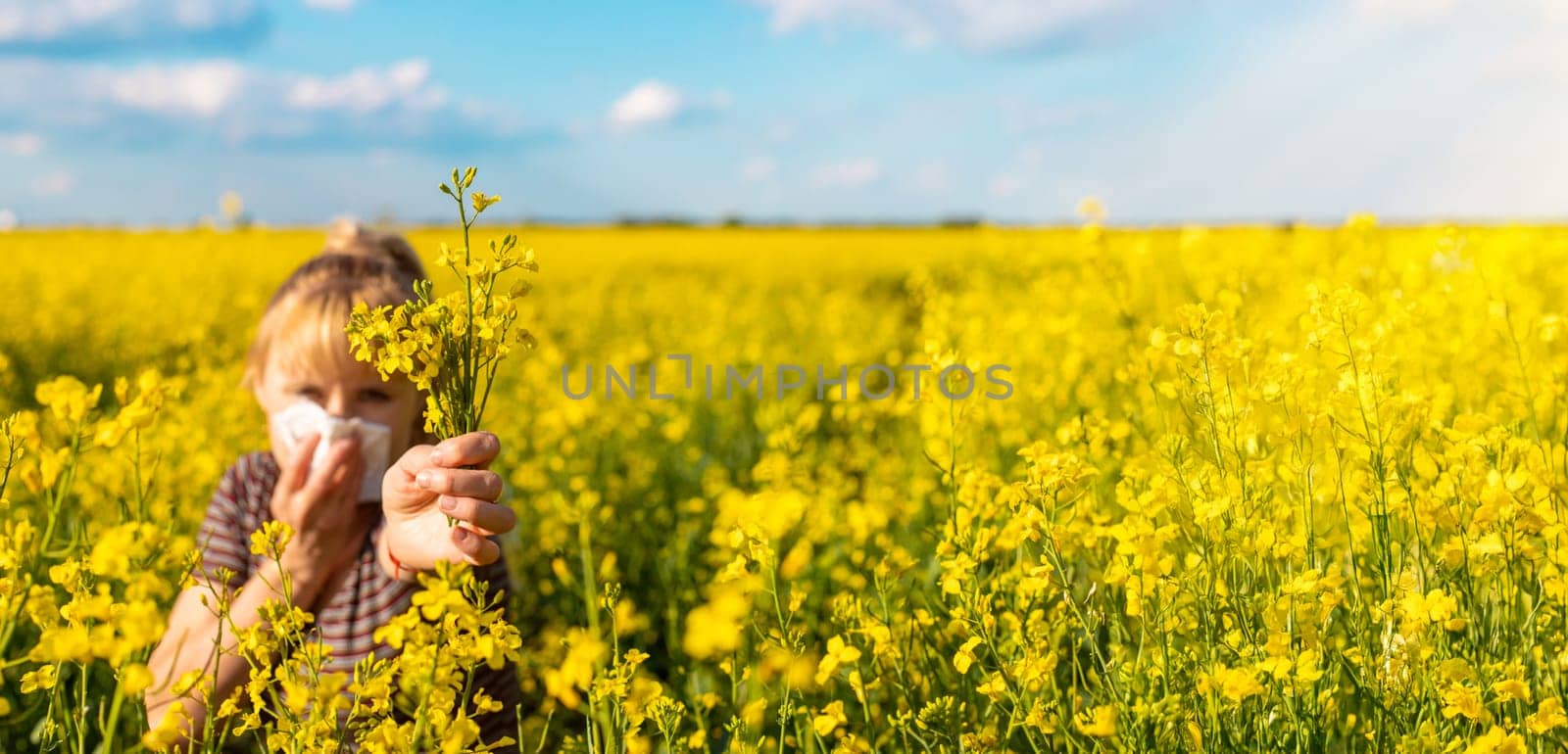 Yellow field flowers allergy. Selective focus. nature.