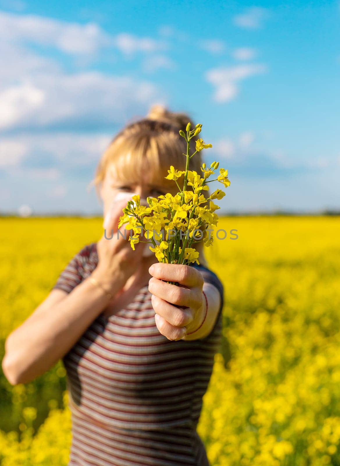 Yellow field flowers allergy. Selective focus. nature.