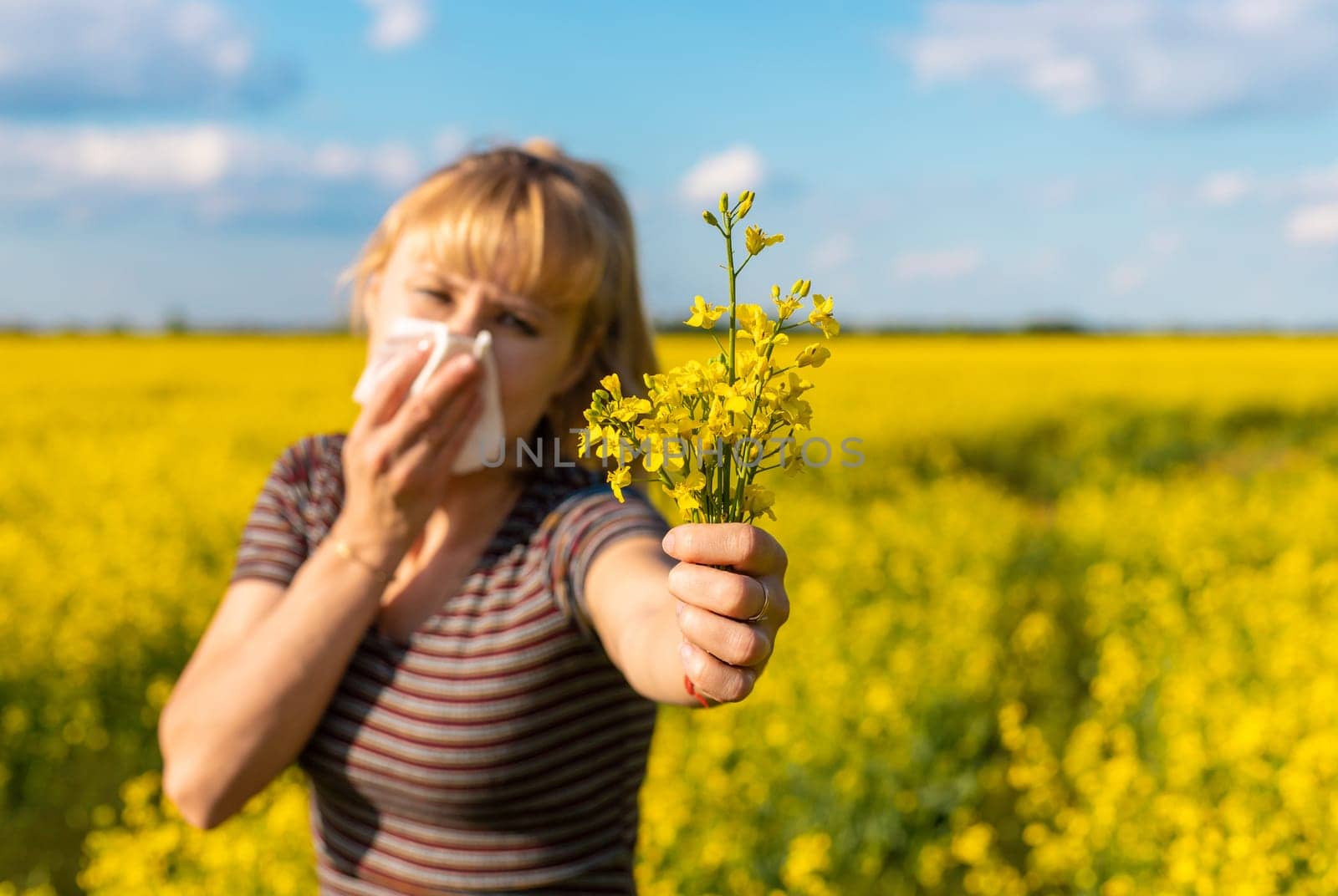 Yellow field flowers allergy. Selective focus. nature.