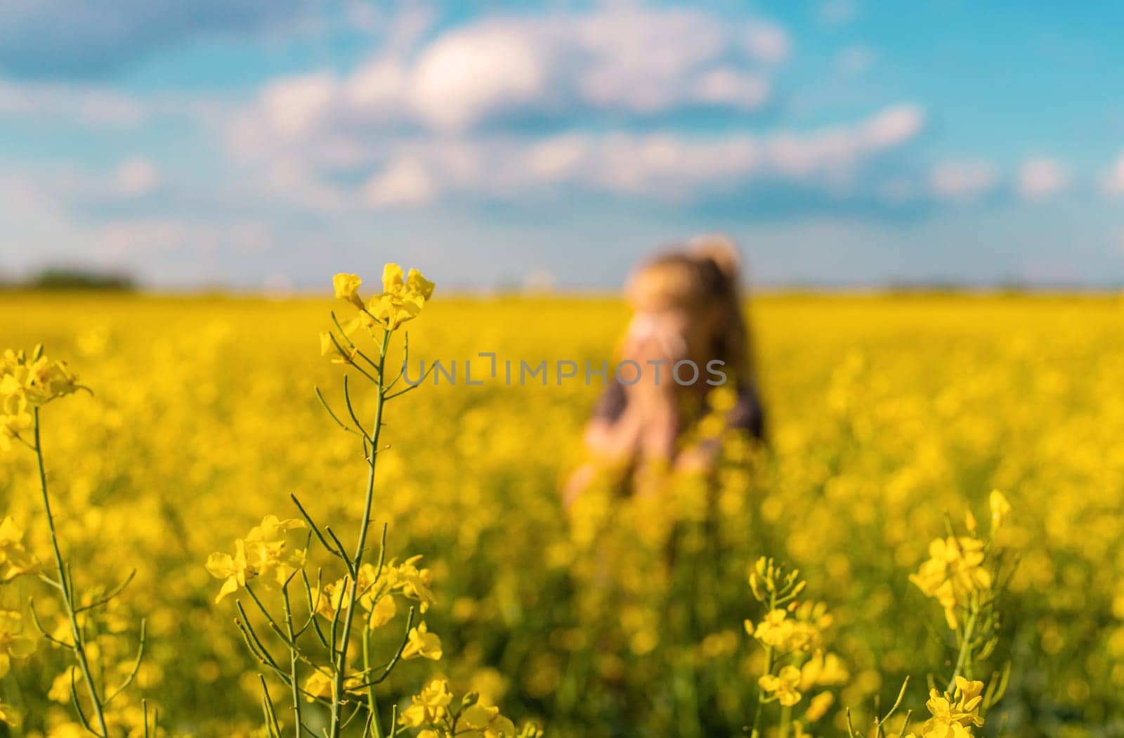 Yellow field flowers allergy. Selective focus. nature.