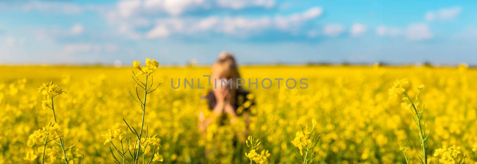 Yellow field flowers allergy. Selective focus. nature.