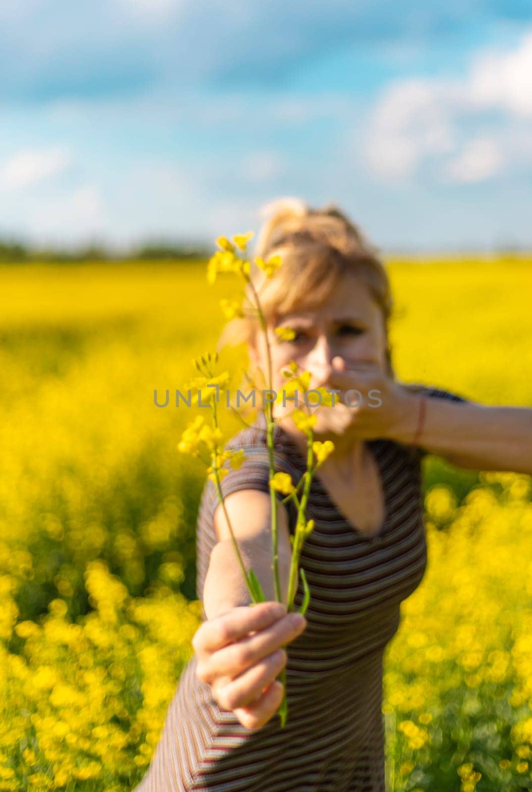 Yellow field flowers allergy. Selective focus. nature.
