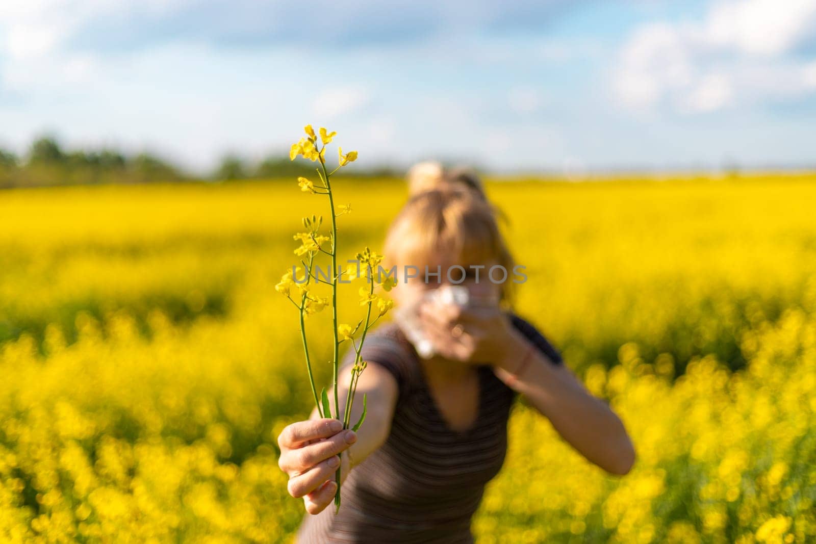 Yellow field flowers allergy. Selective focus. nature.