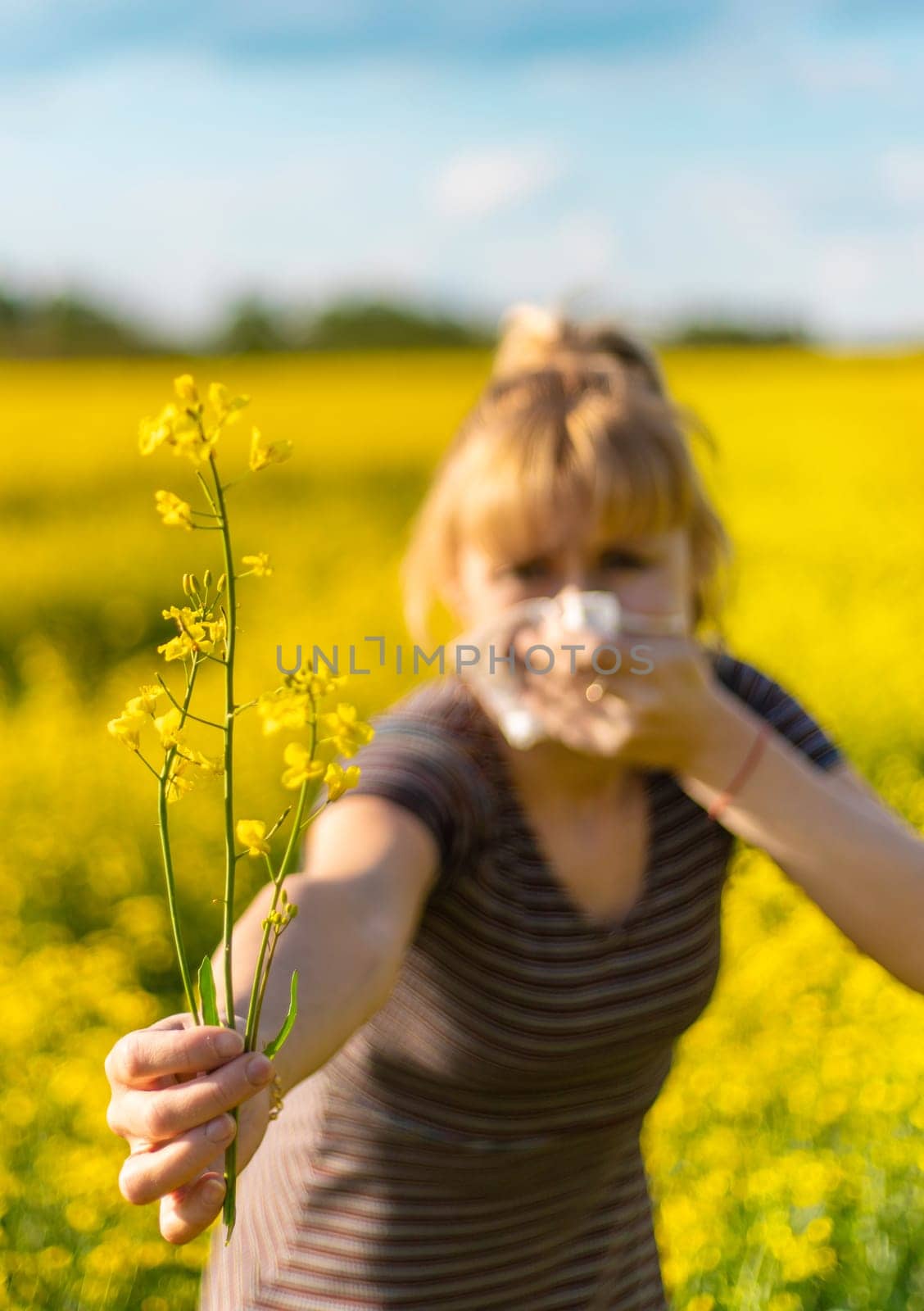 Yellow field flowers allergy. Selective focus. nature.