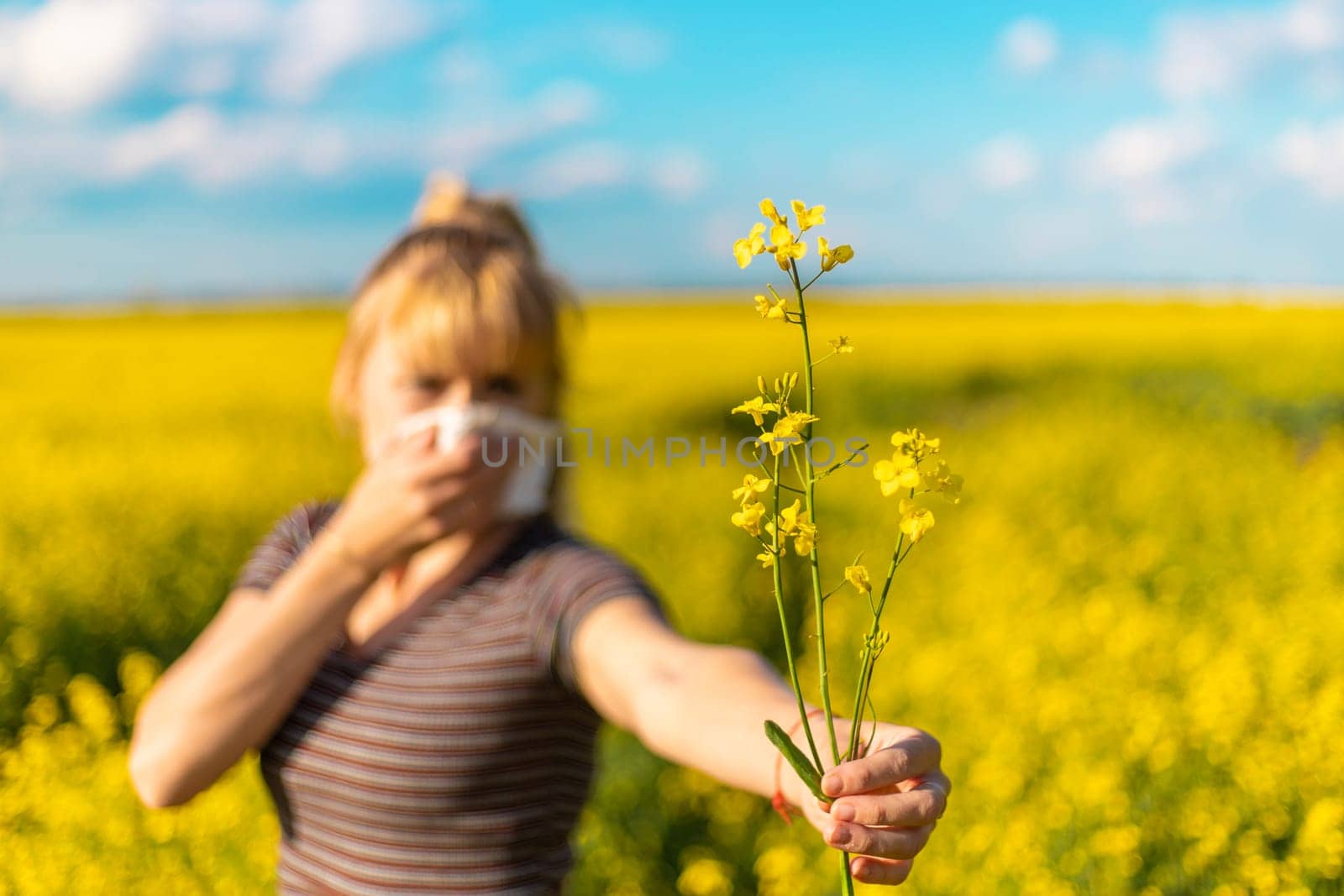 Yellow field flowers allergy. Selective focus. nature.