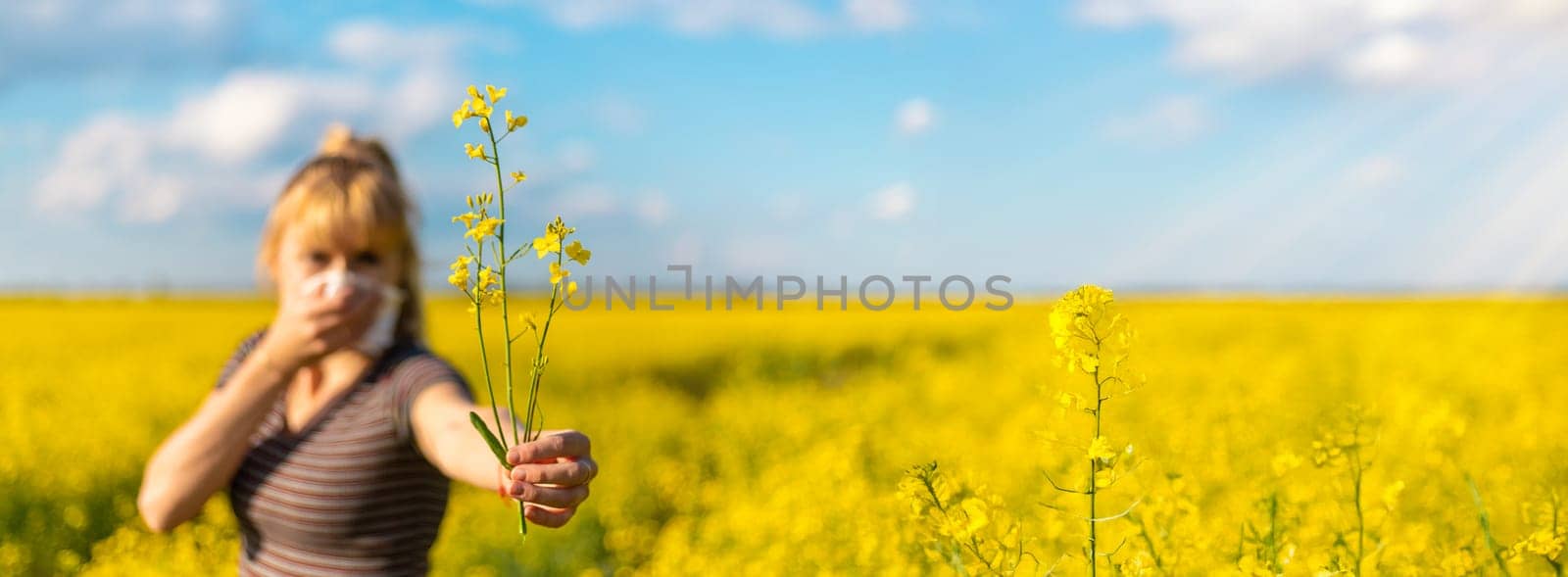 Yellow field flowers allergy. Selective focus. nature.