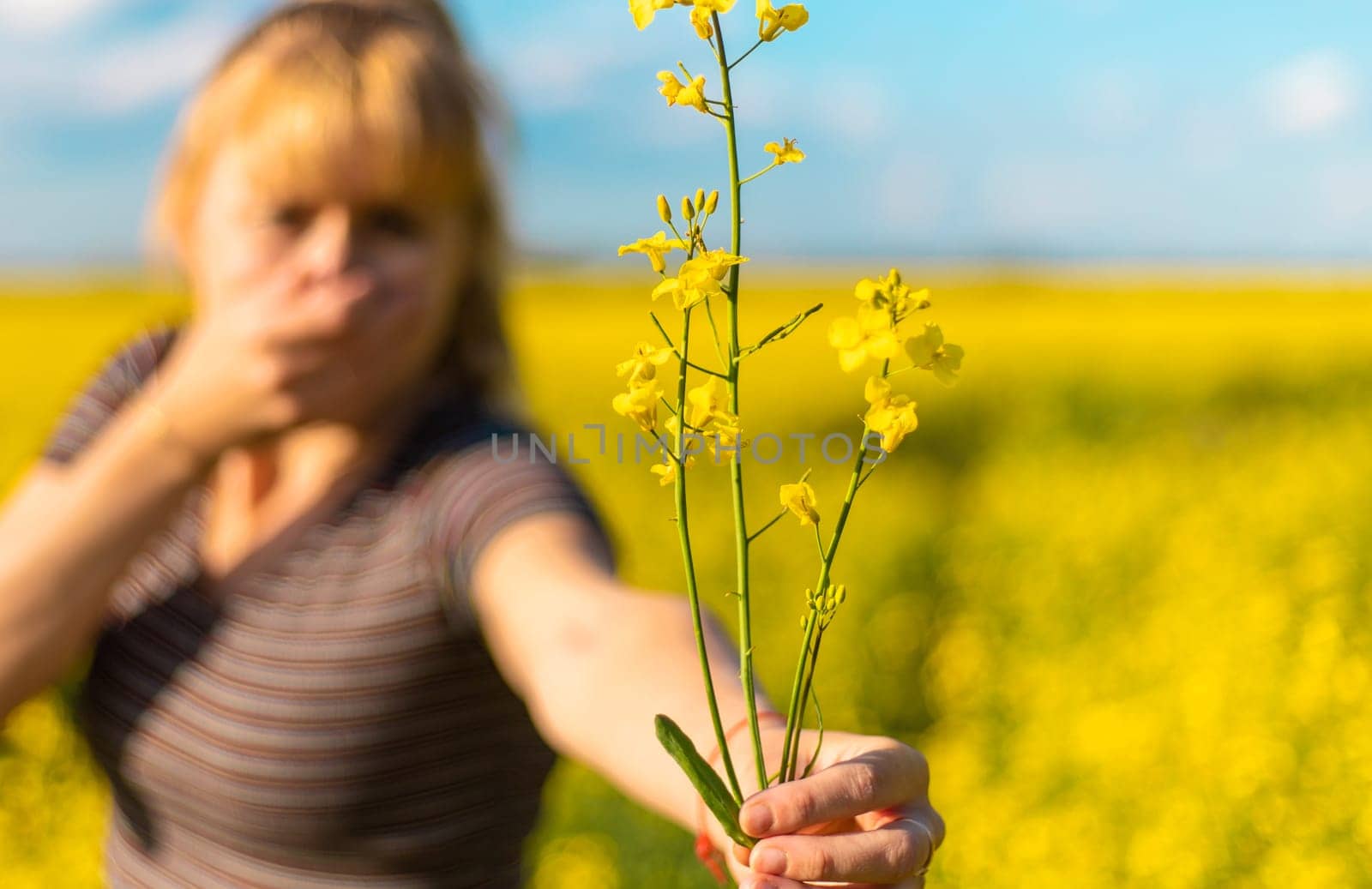 Yellow field flowers allergy. Selective focus. nature.