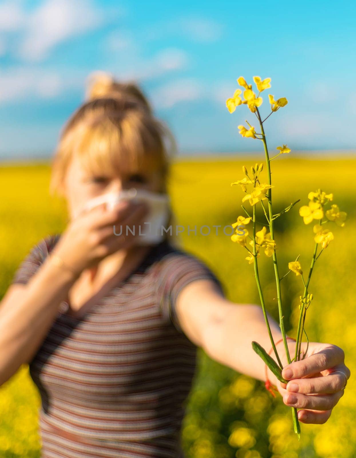 Yellow field flowers allergy. Selective focus. nature.