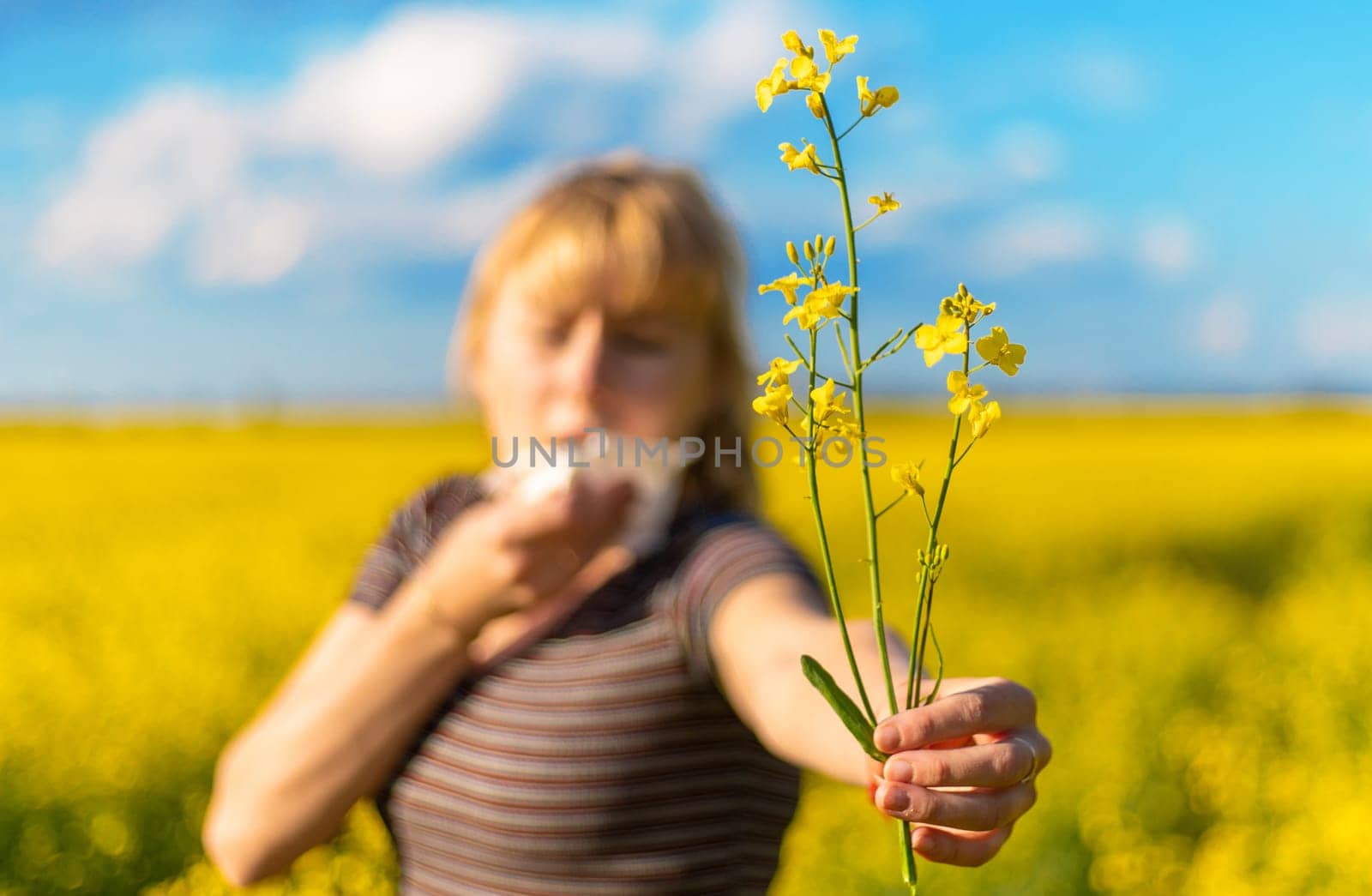 Yellow field flowers allergy. Selective focus. nature.